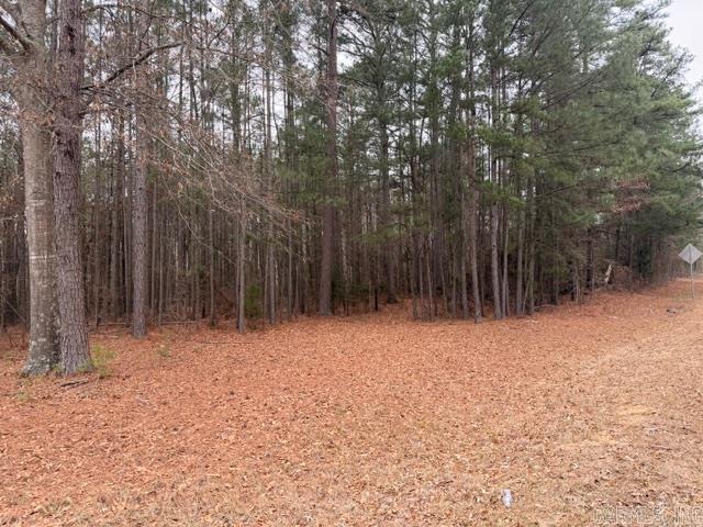 4408 Hwy 376 S Property Photo 4