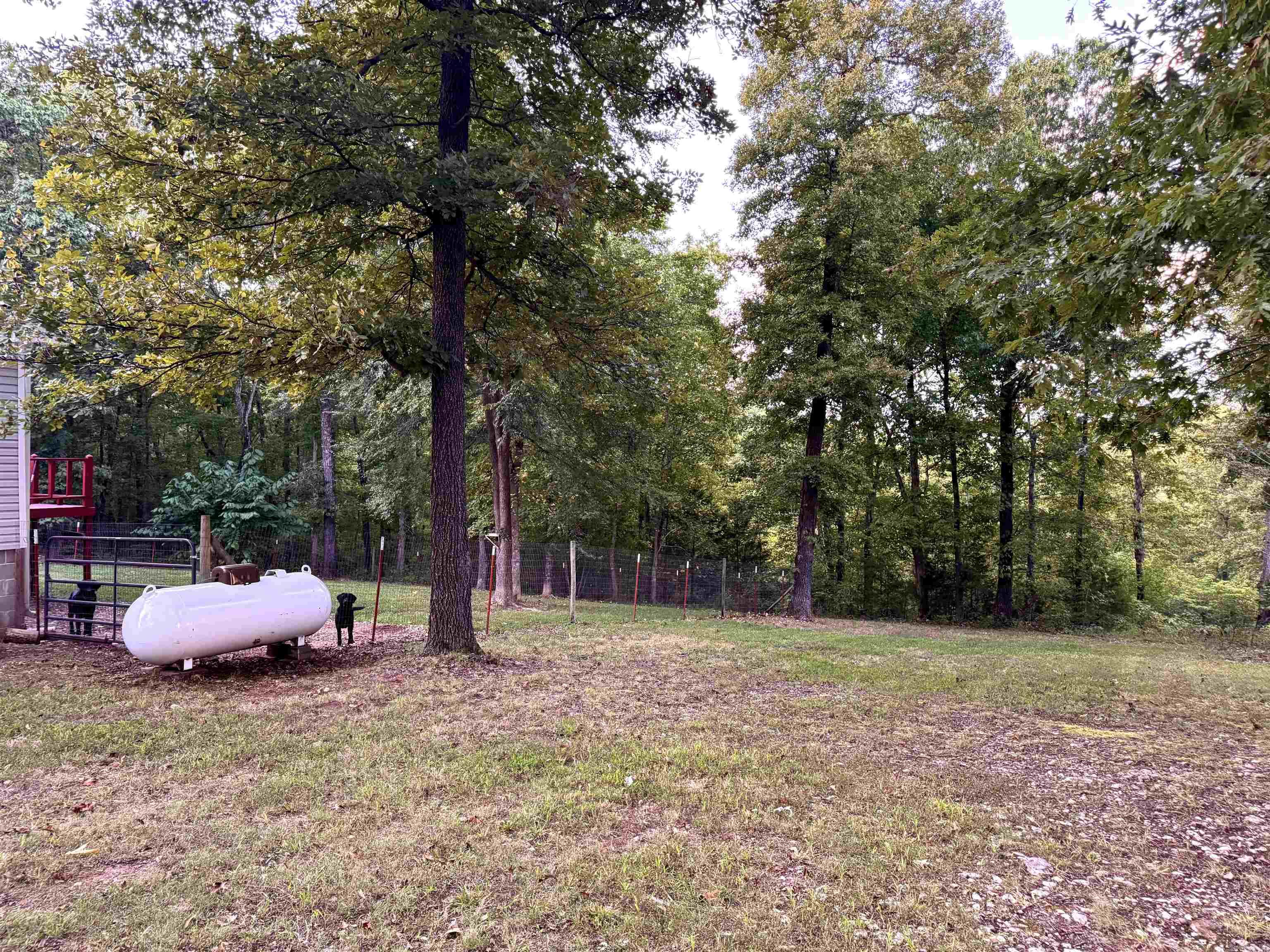 1227 W 74 Highway Property Photo 19