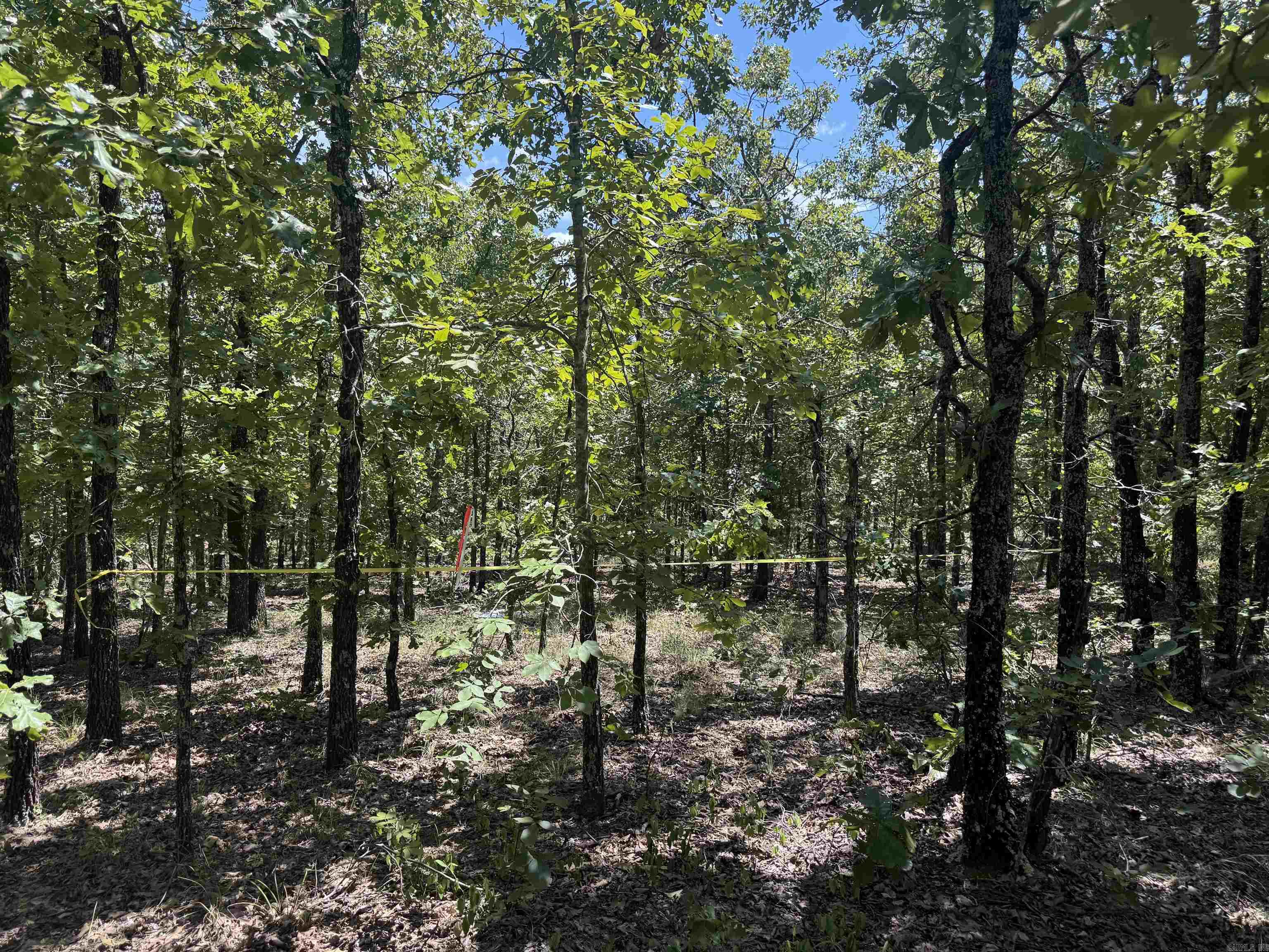 Lot 10 7 Lakes Ranch Blvd. Boulevard Property Photo 3
