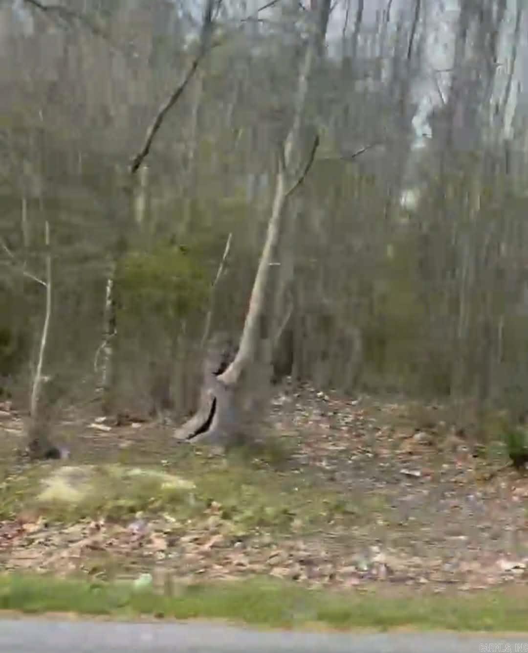 Shannon & Oakwood Property Photo 2