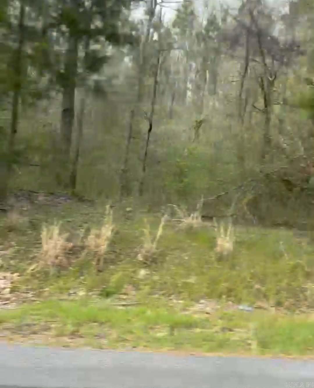 Shannon & Oakwood Property Photo 3