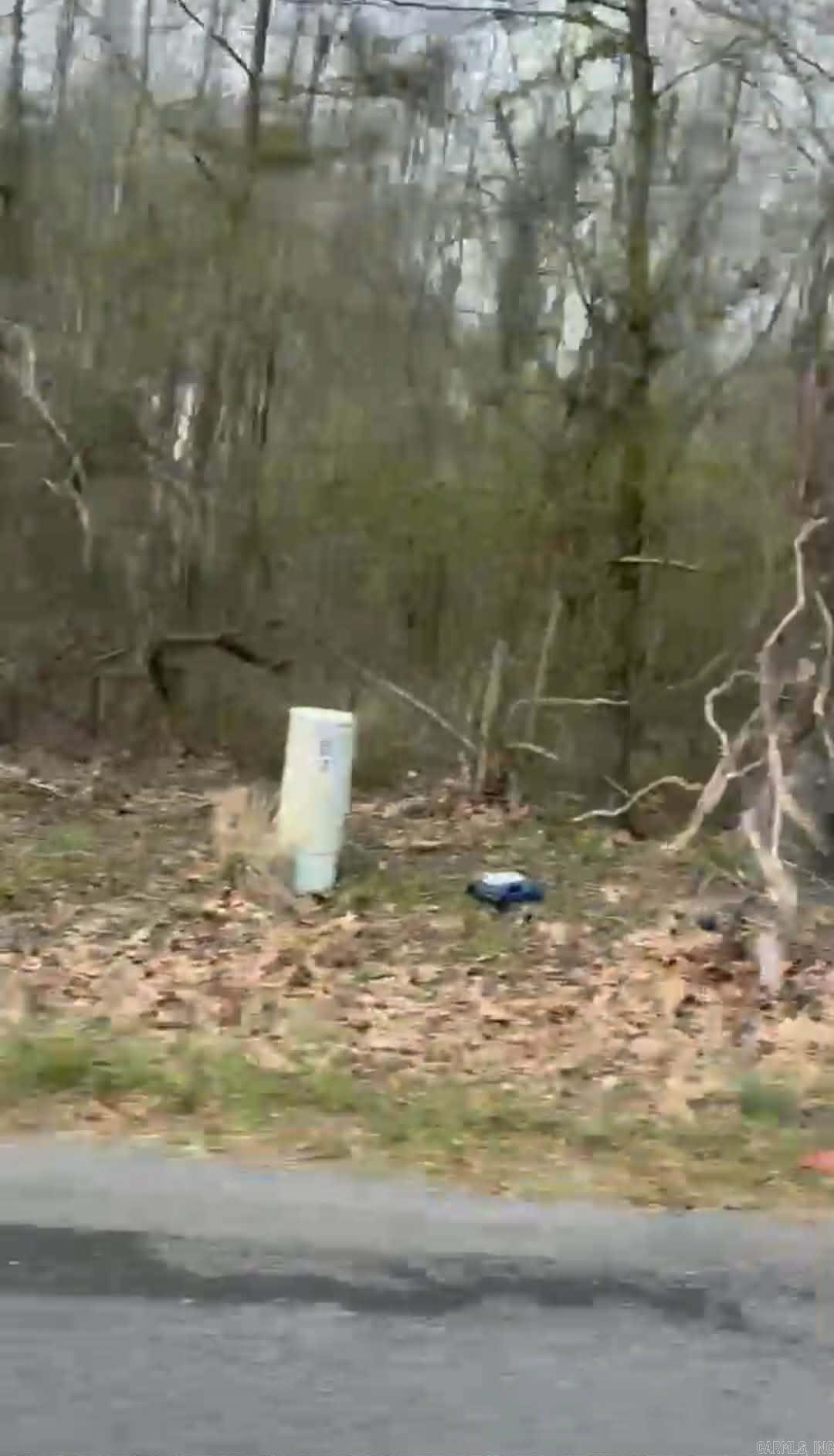 Shannon & Oakwood Property Photo 4