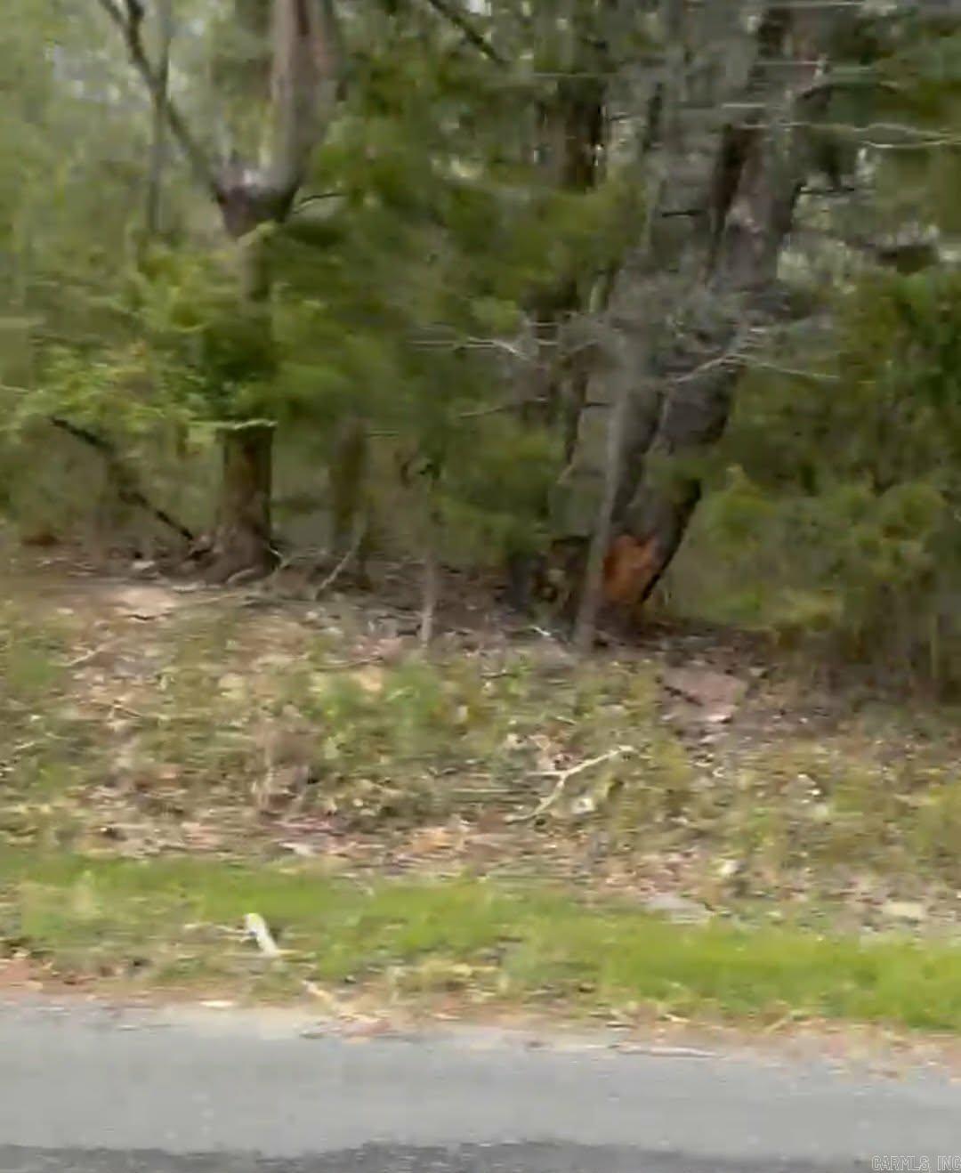 Shannon & Oakwood Property Photo 5