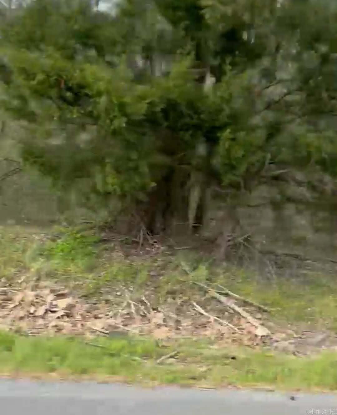 Shannon & Oakwood Property Photo 6