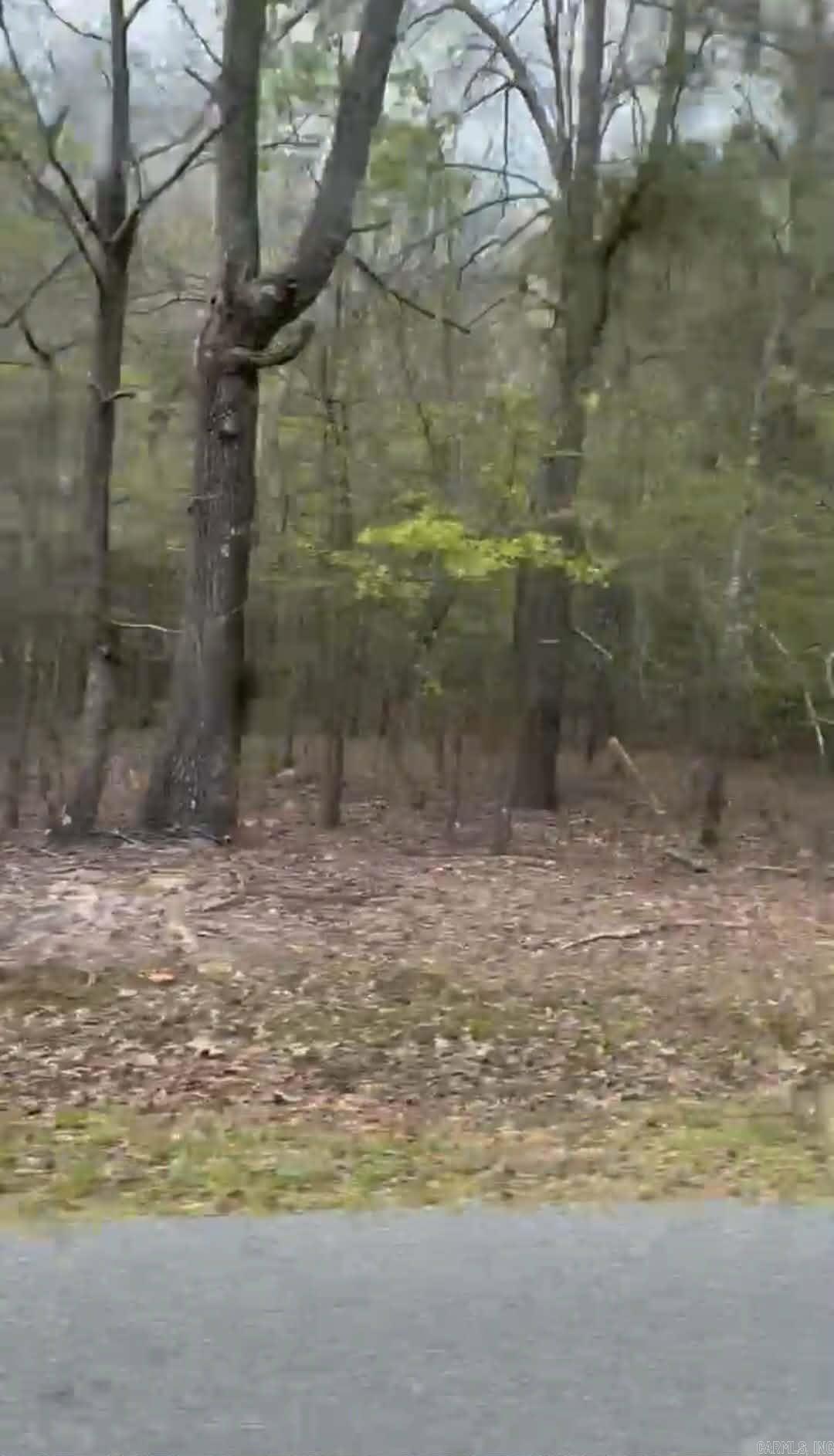 Shannon & Oakwood Property Photo 7