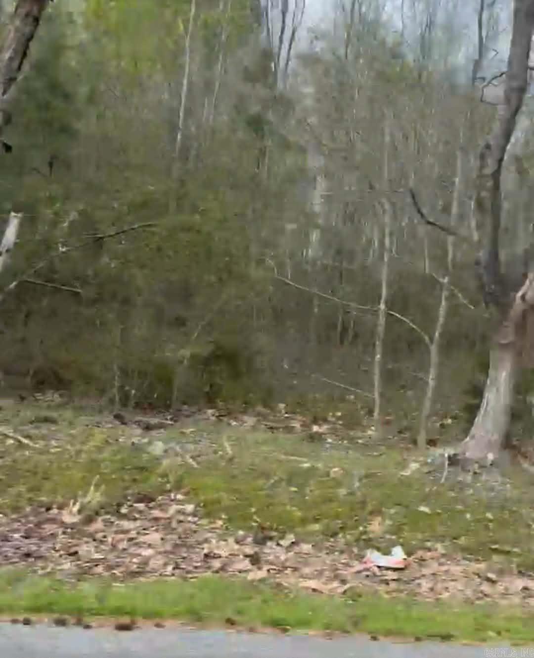 Shannon & Oakwood Property Photo 8