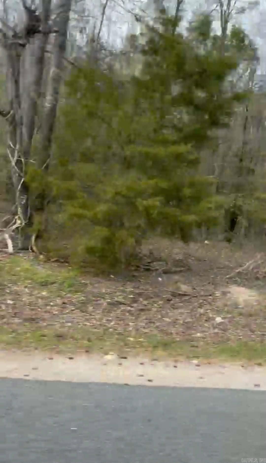 Shannon & Oakwood Property Photo 9