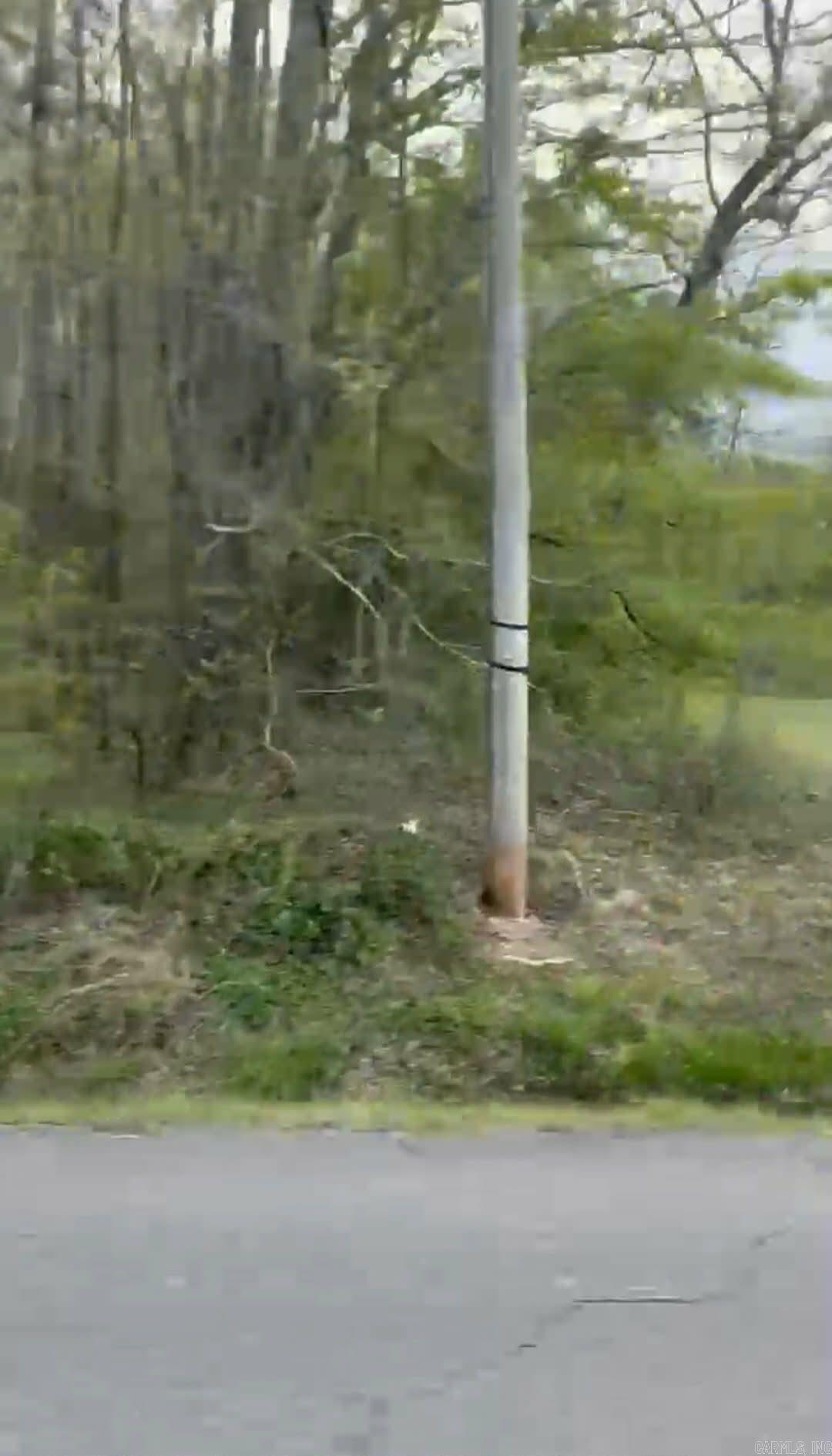 Shannon & Oakwood Property Photo 11