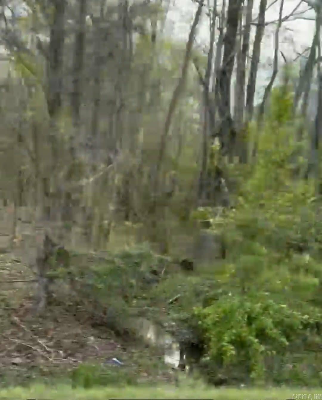 Shannon & Oakwood Property Photo 12