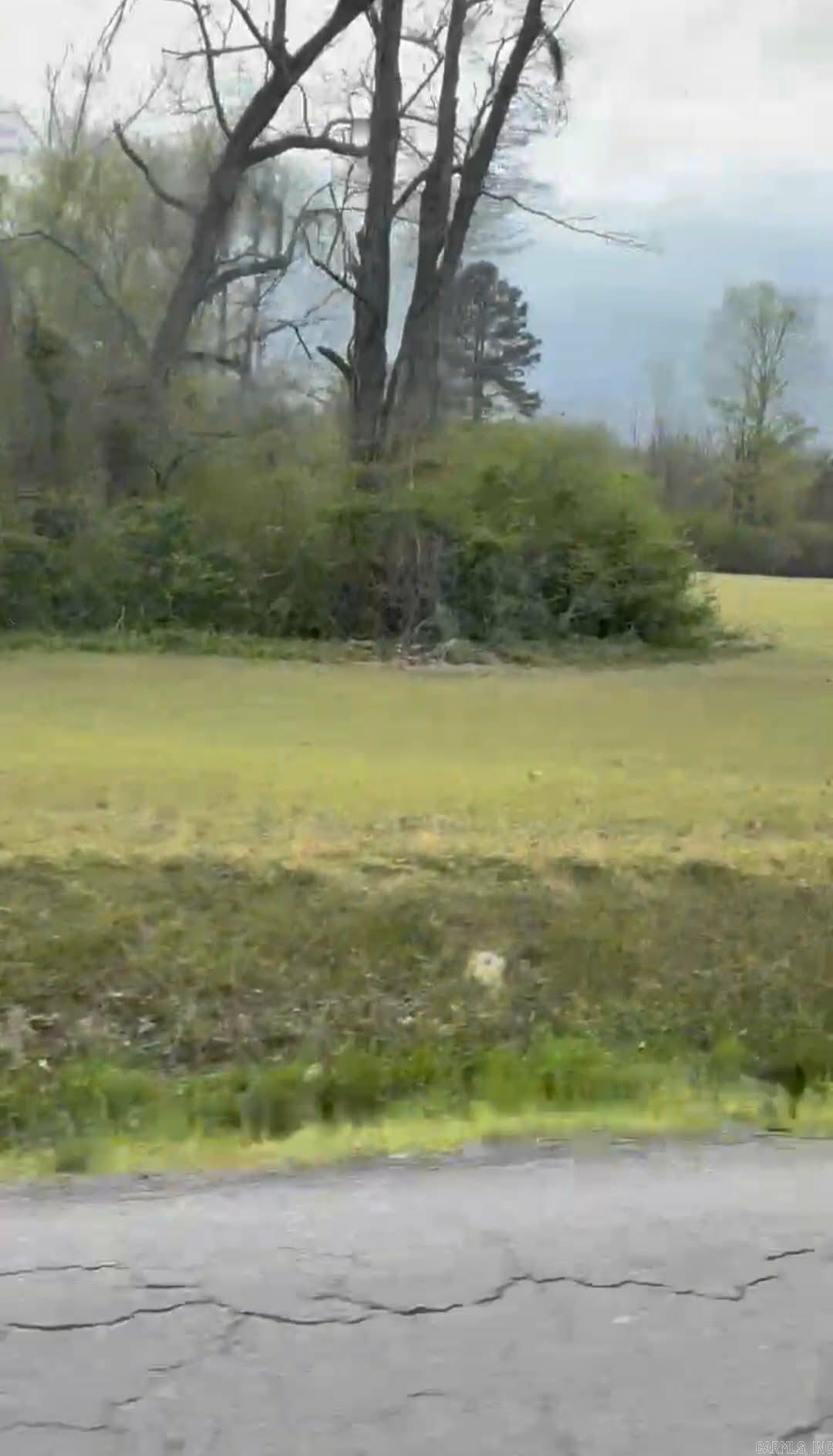 Shannon & Oakwood Property Photo 13
