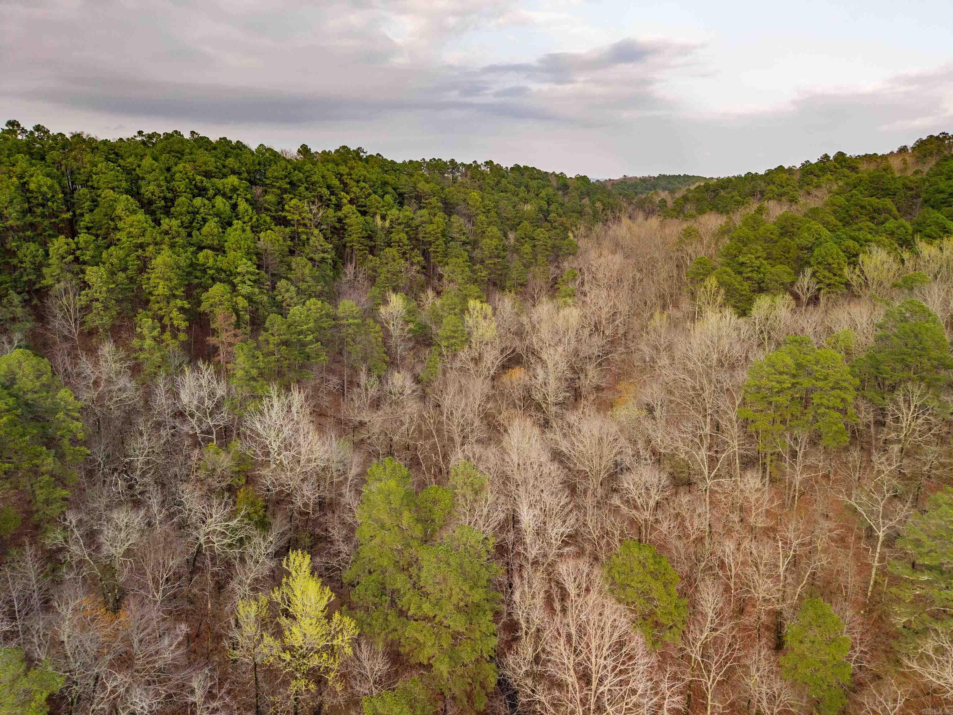 000 Hickory Hill Drive Property Photo 12