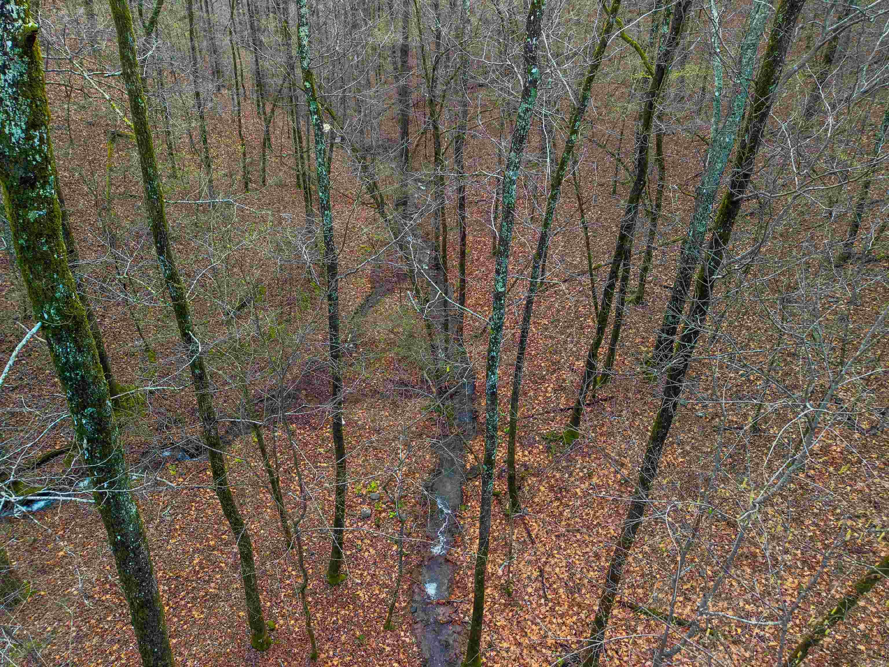 000 Hickory Hill Drive Property Photo 14