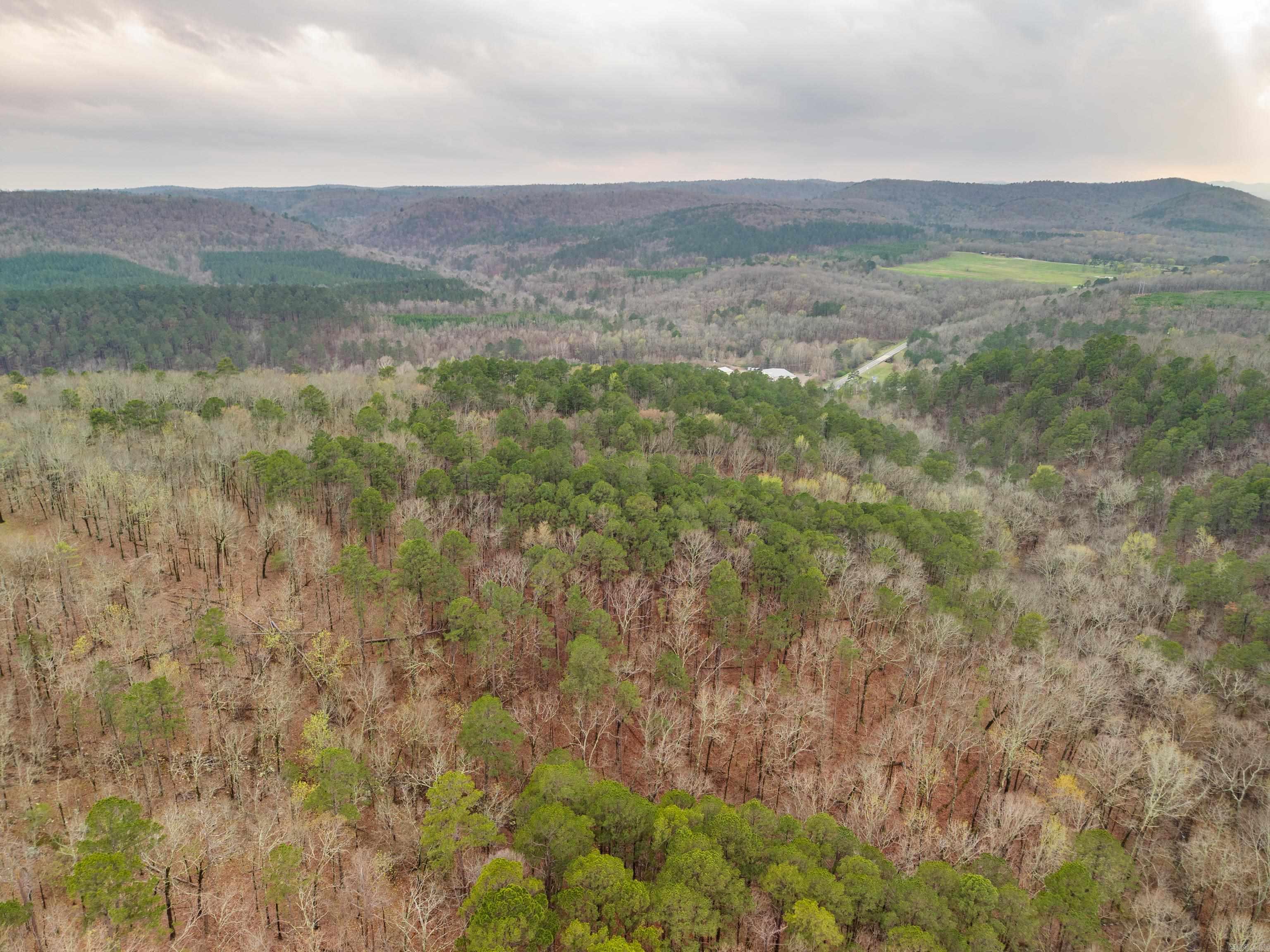000 Hickory Hill Drive Property Photo 21