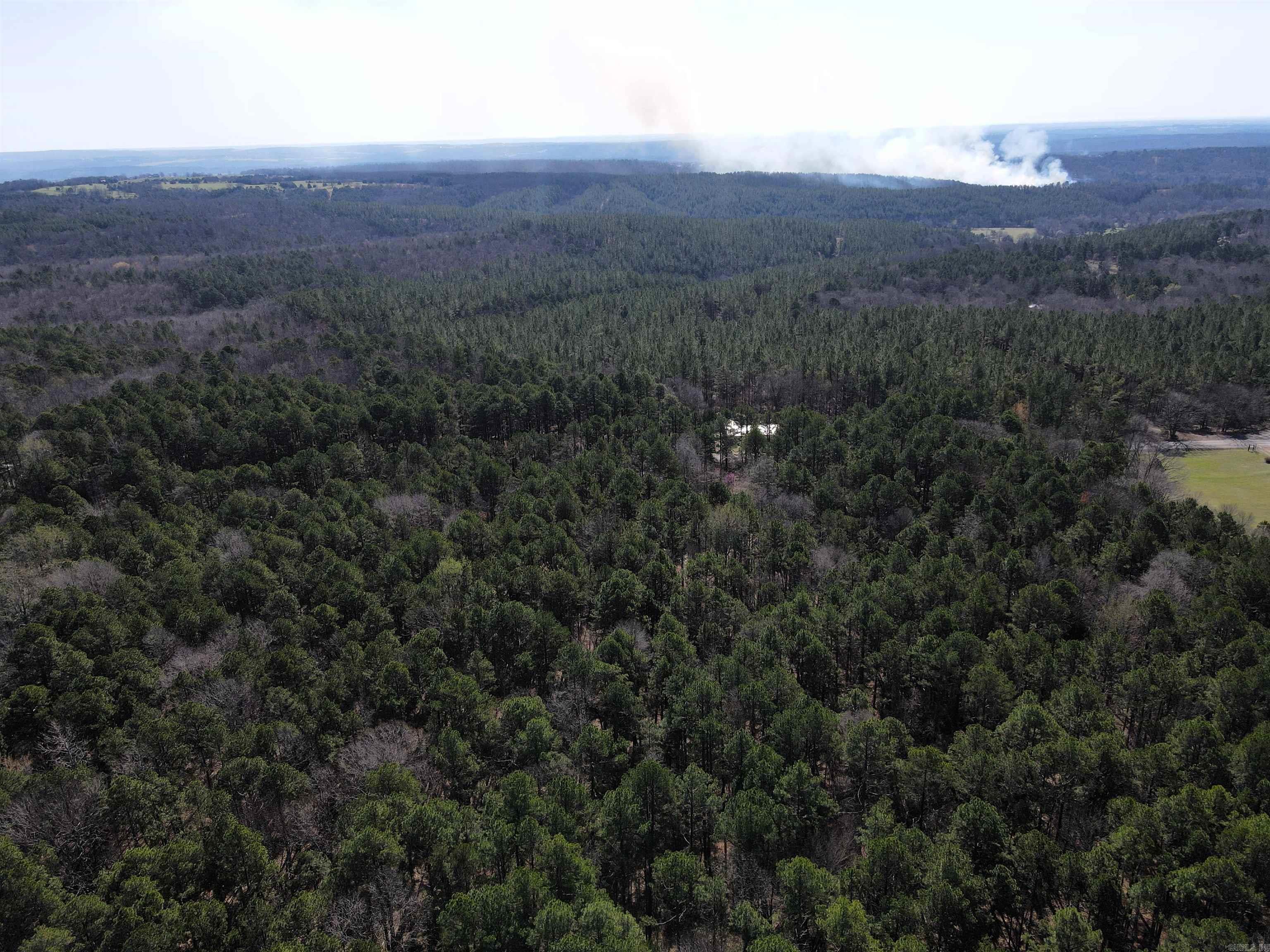 2986 E Mountain Road Property Photo 4