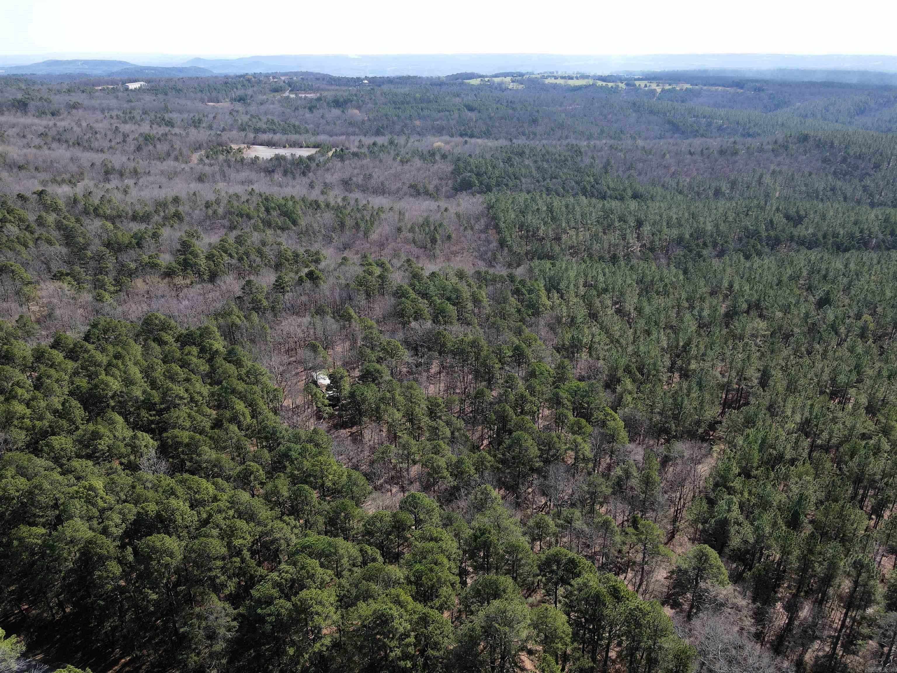2986 E Mountain Road Property Photo 6