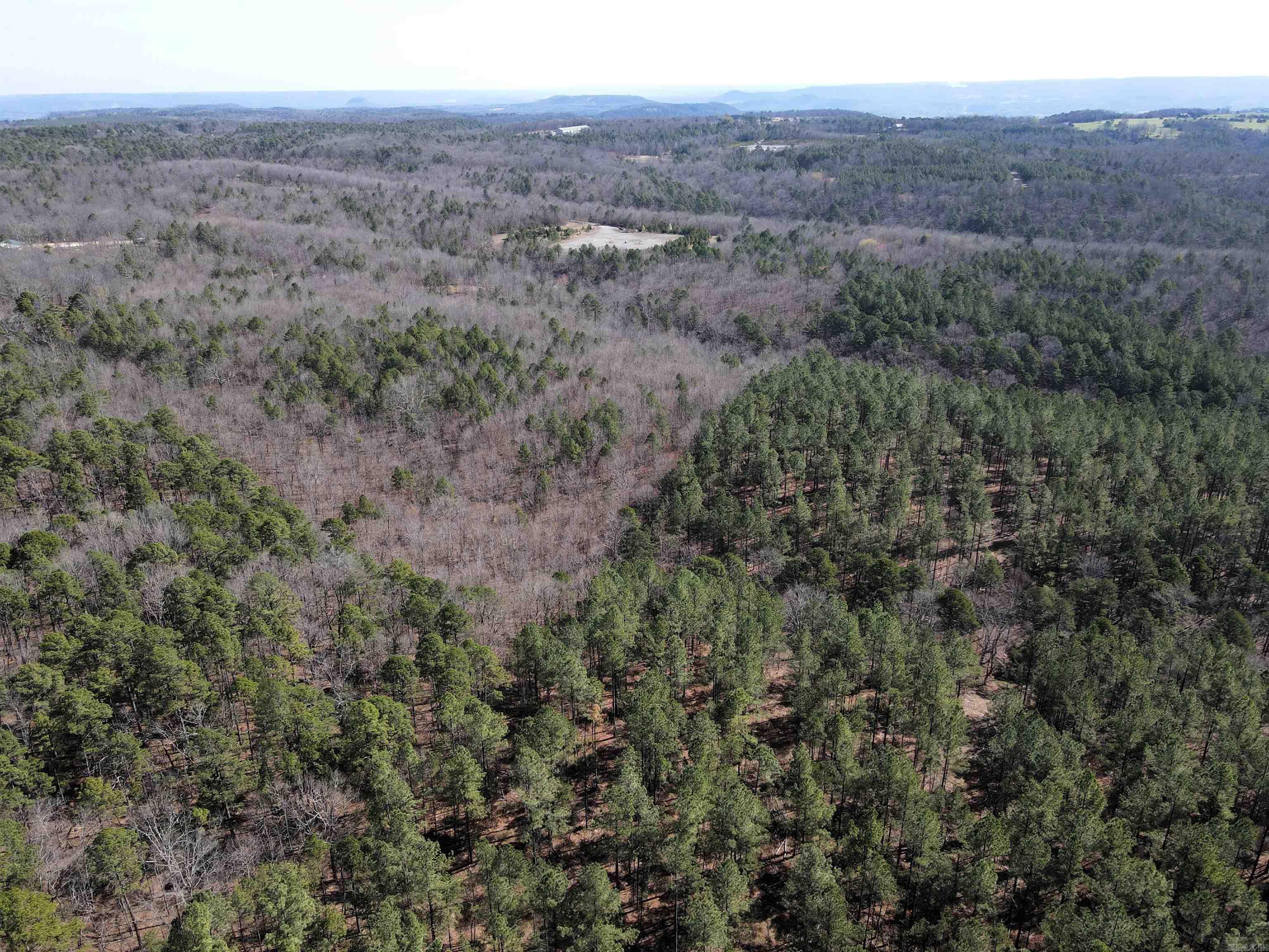 2986 E Mountain Road Property Photo 7