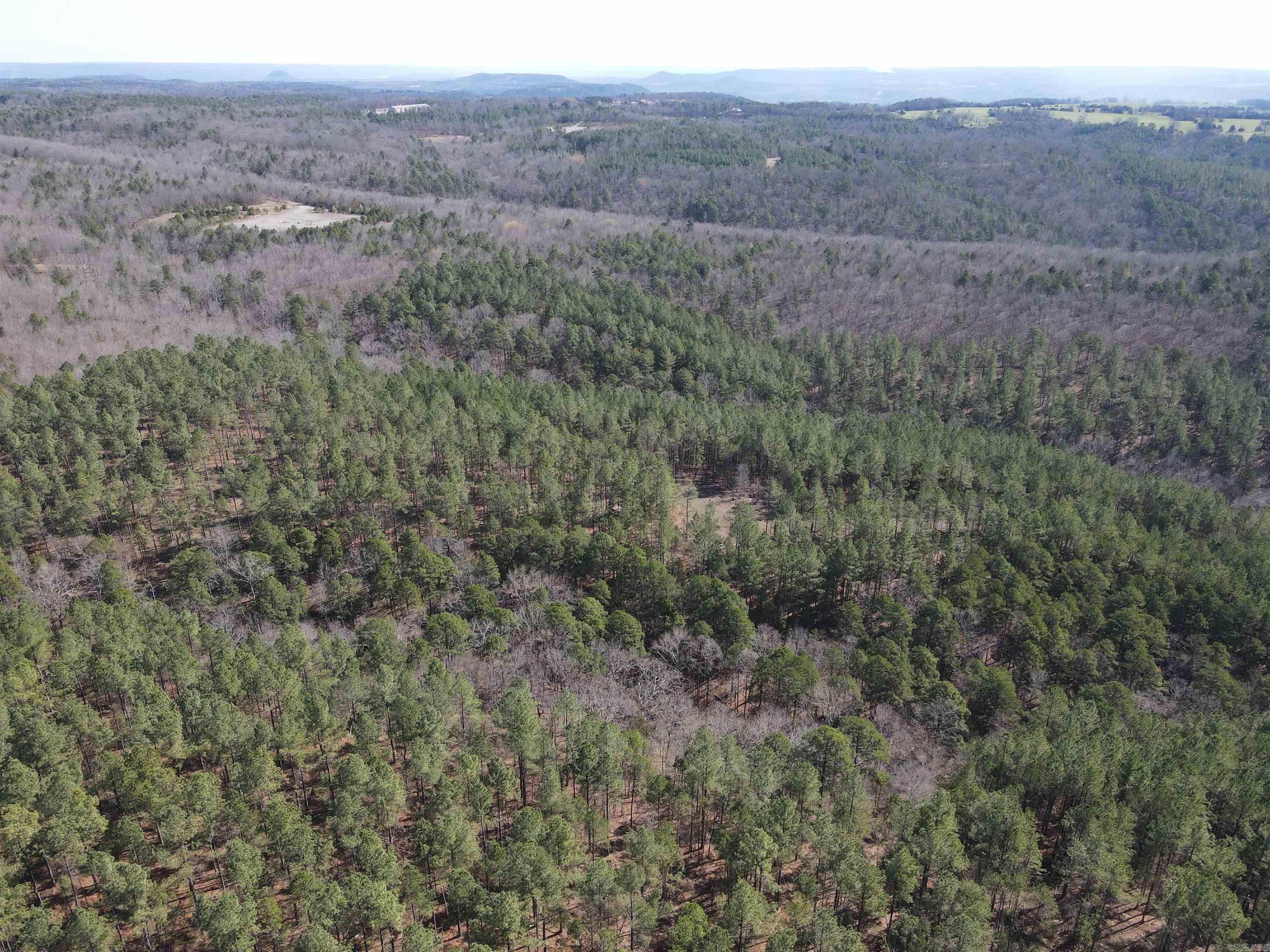 2986 E Mountain Road Property Photo 8