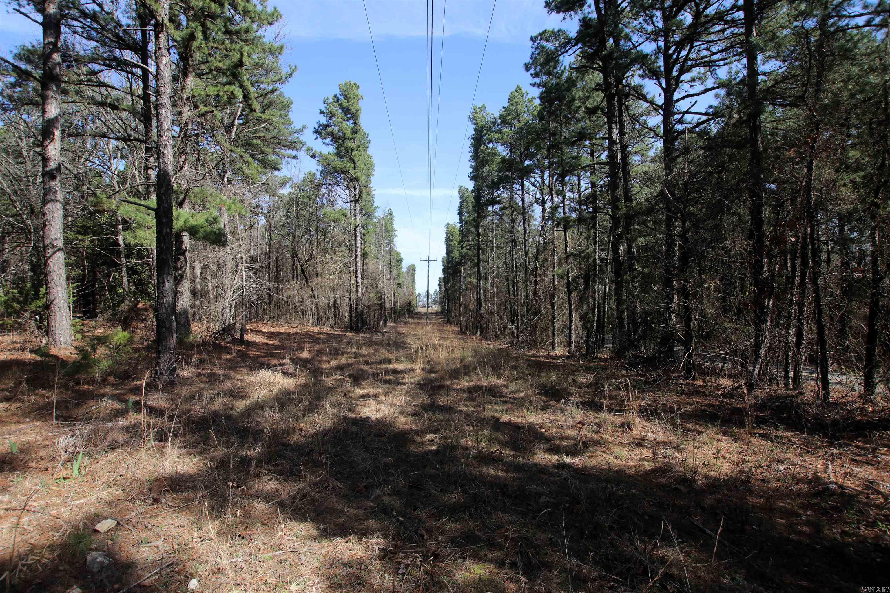 2986 E Mountain Road Property Photo 11