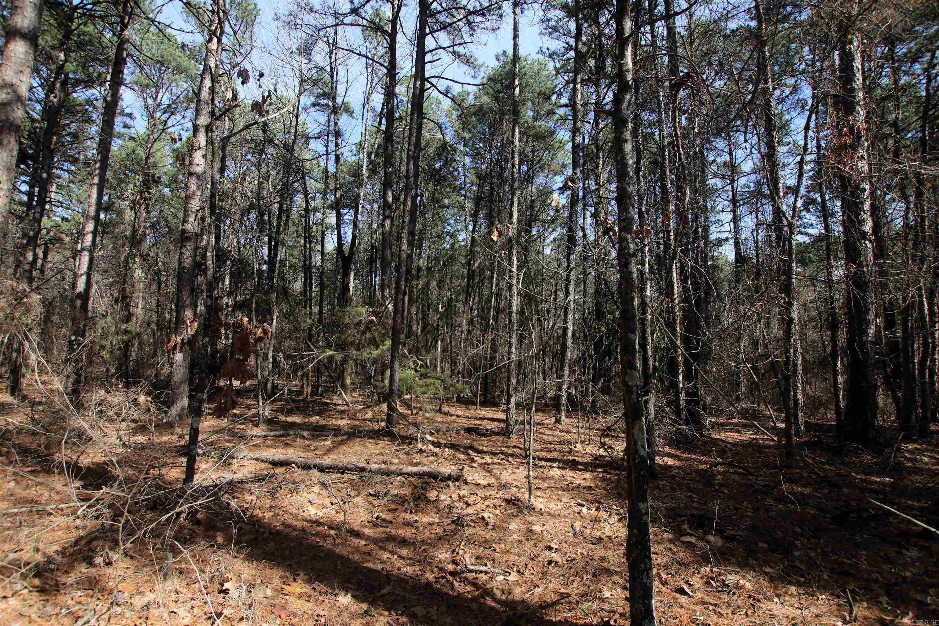 2986 E Mountain Road Property Photo 12