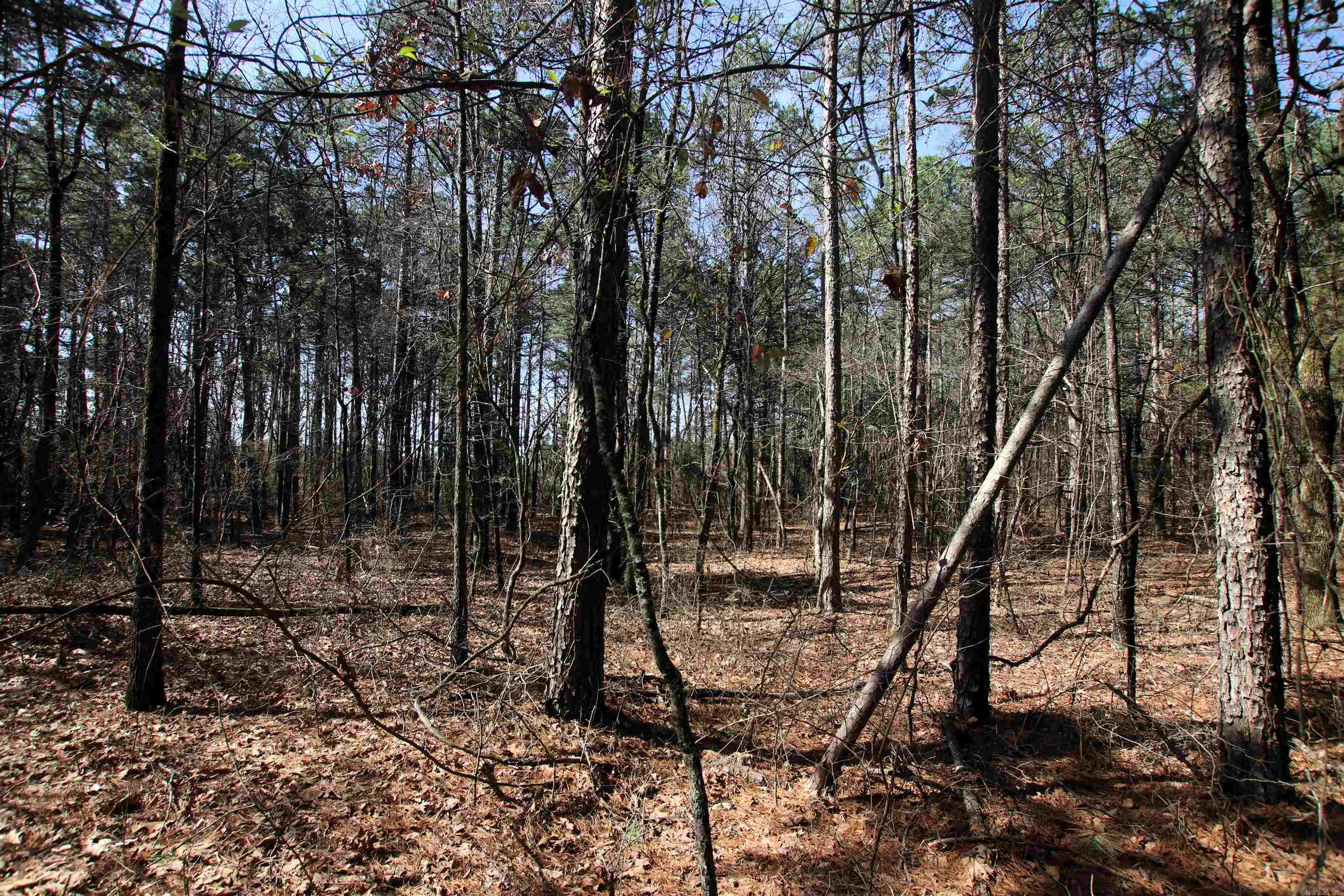 2986 E Mountain Road Property Photo 13