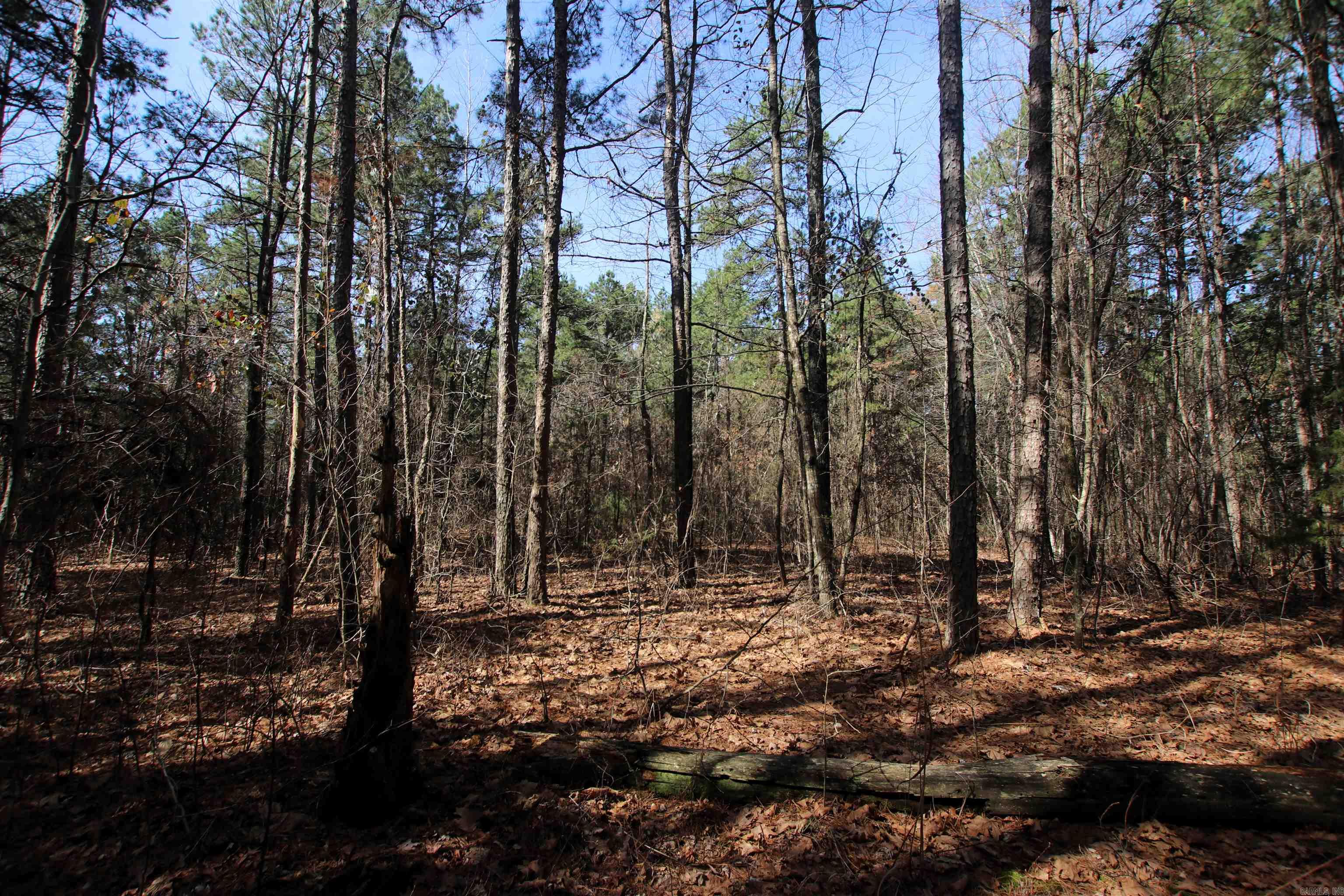 2986 E Mountain Road Property Photo 15