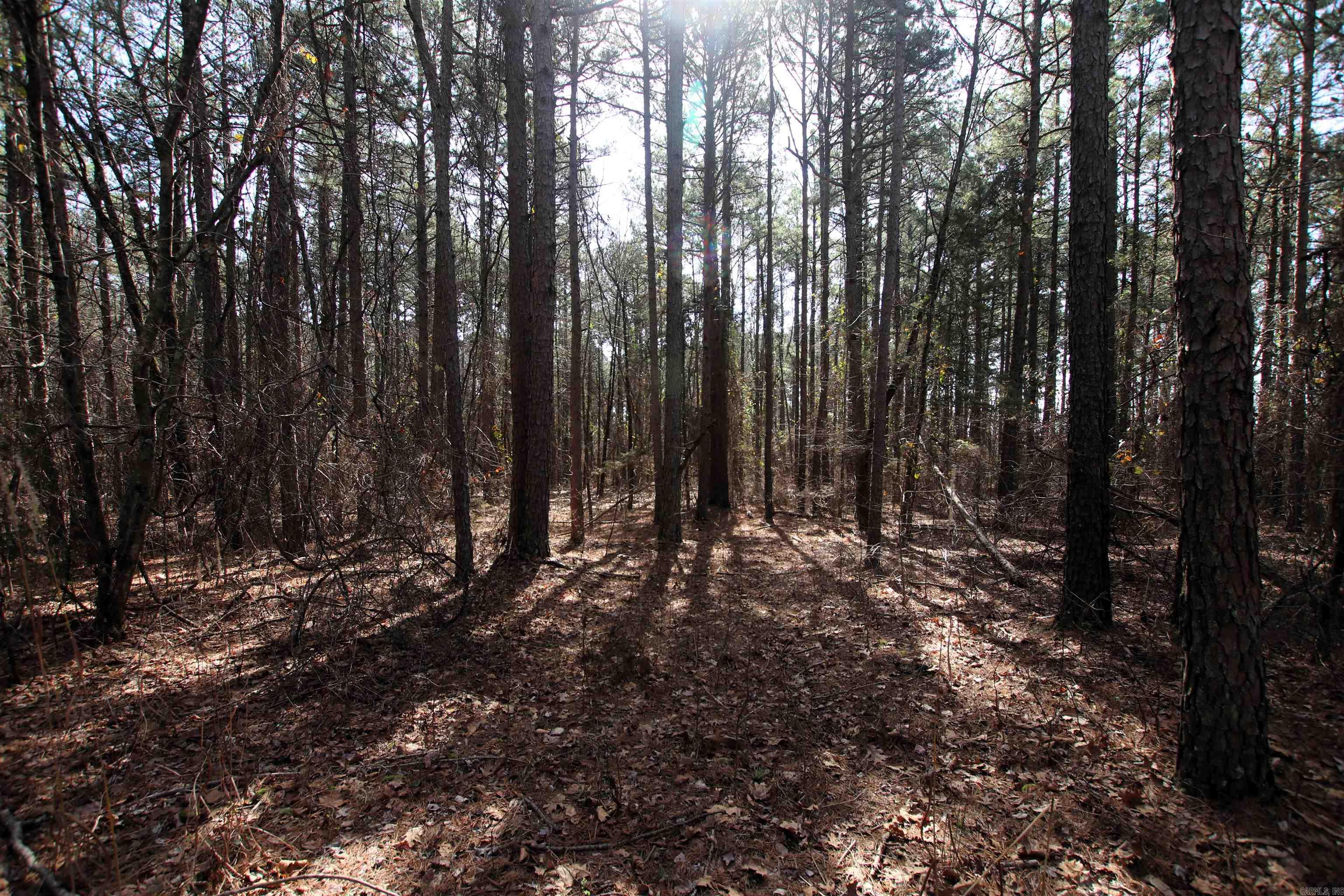 2986 E Mountain Road Property Photo 16