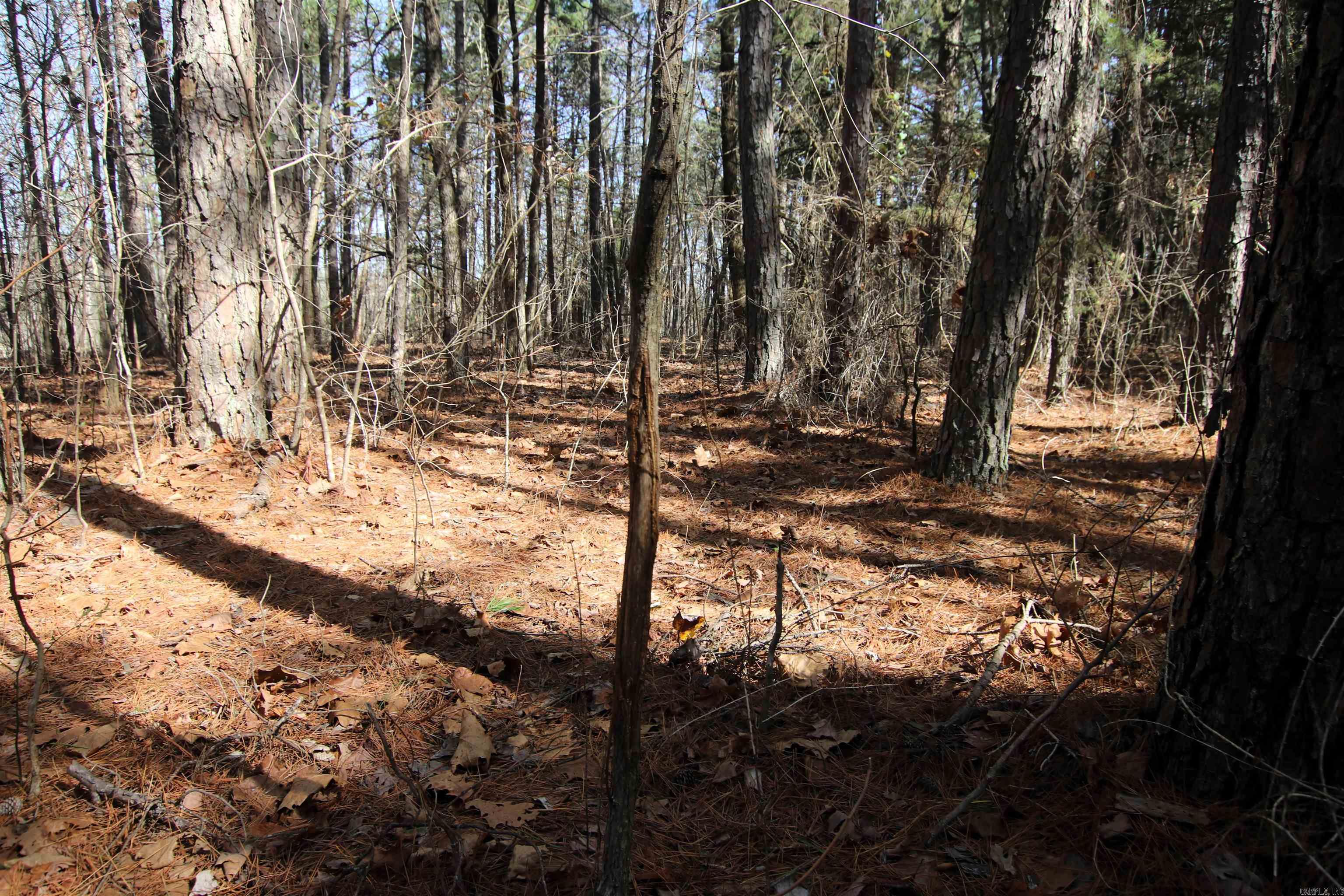 2986 E Mountain Road Property Photo 17