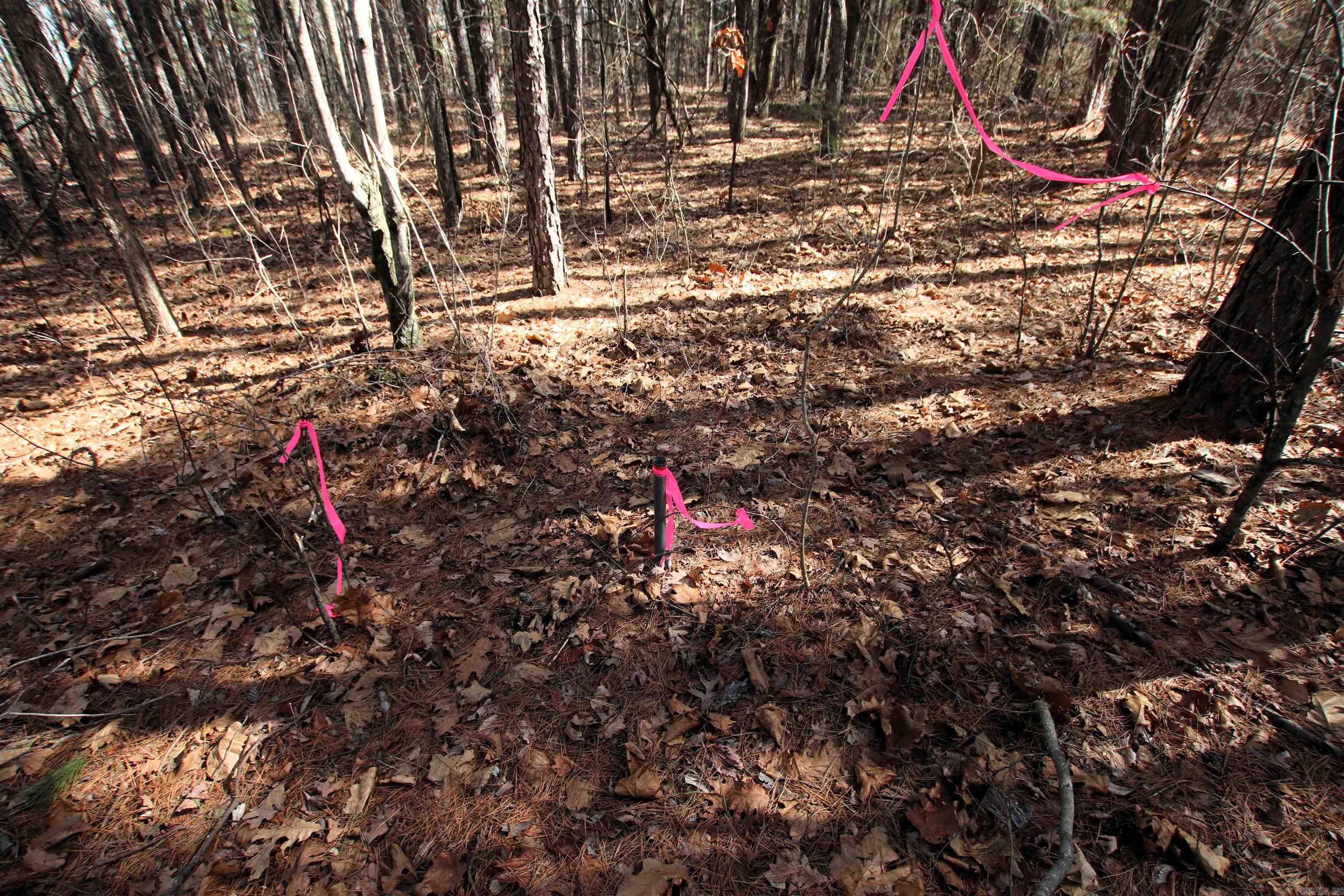 2986 E Mountain Road Property Photo 18