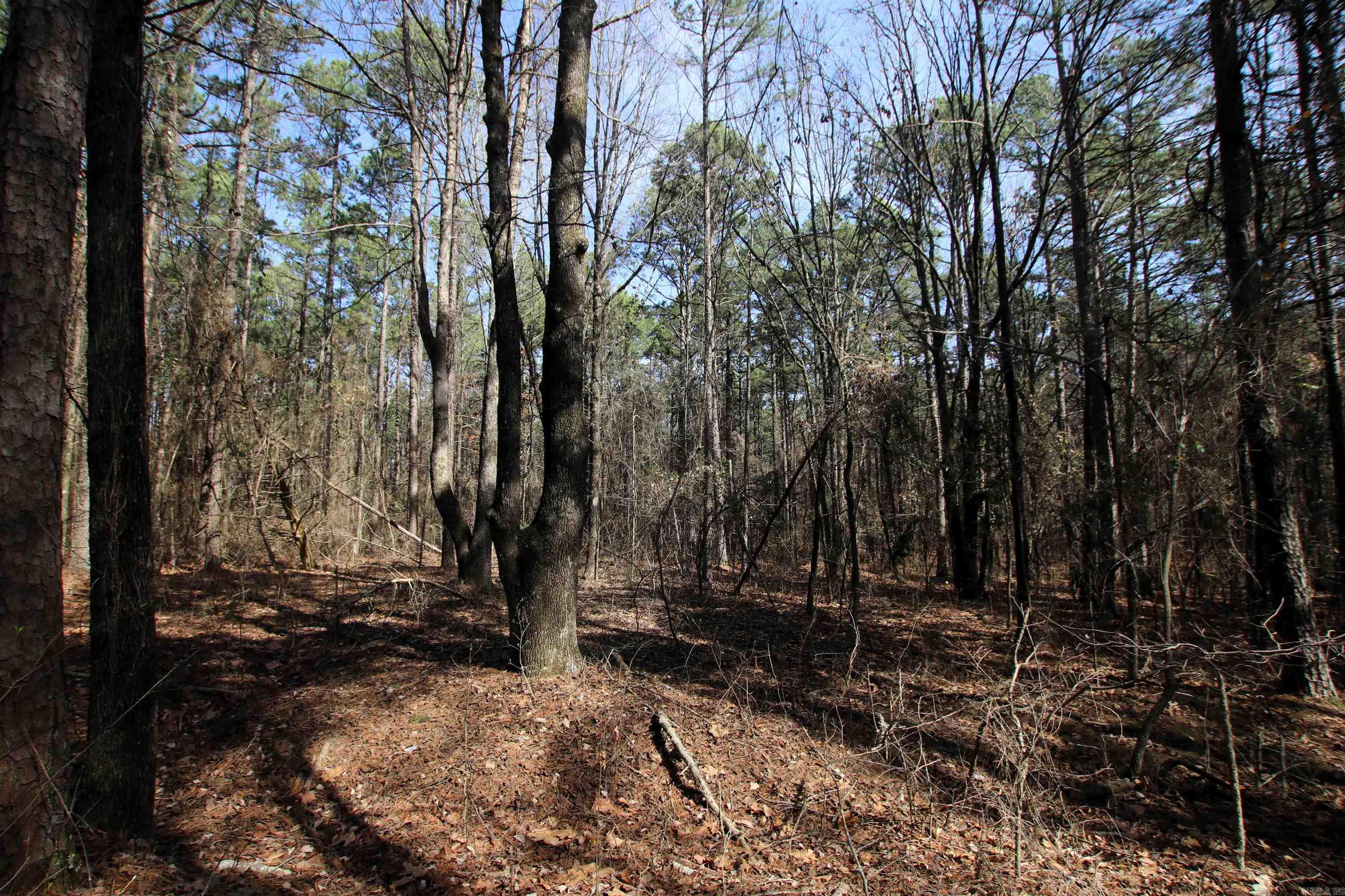 2986 E Mountain Road Property Photo 19