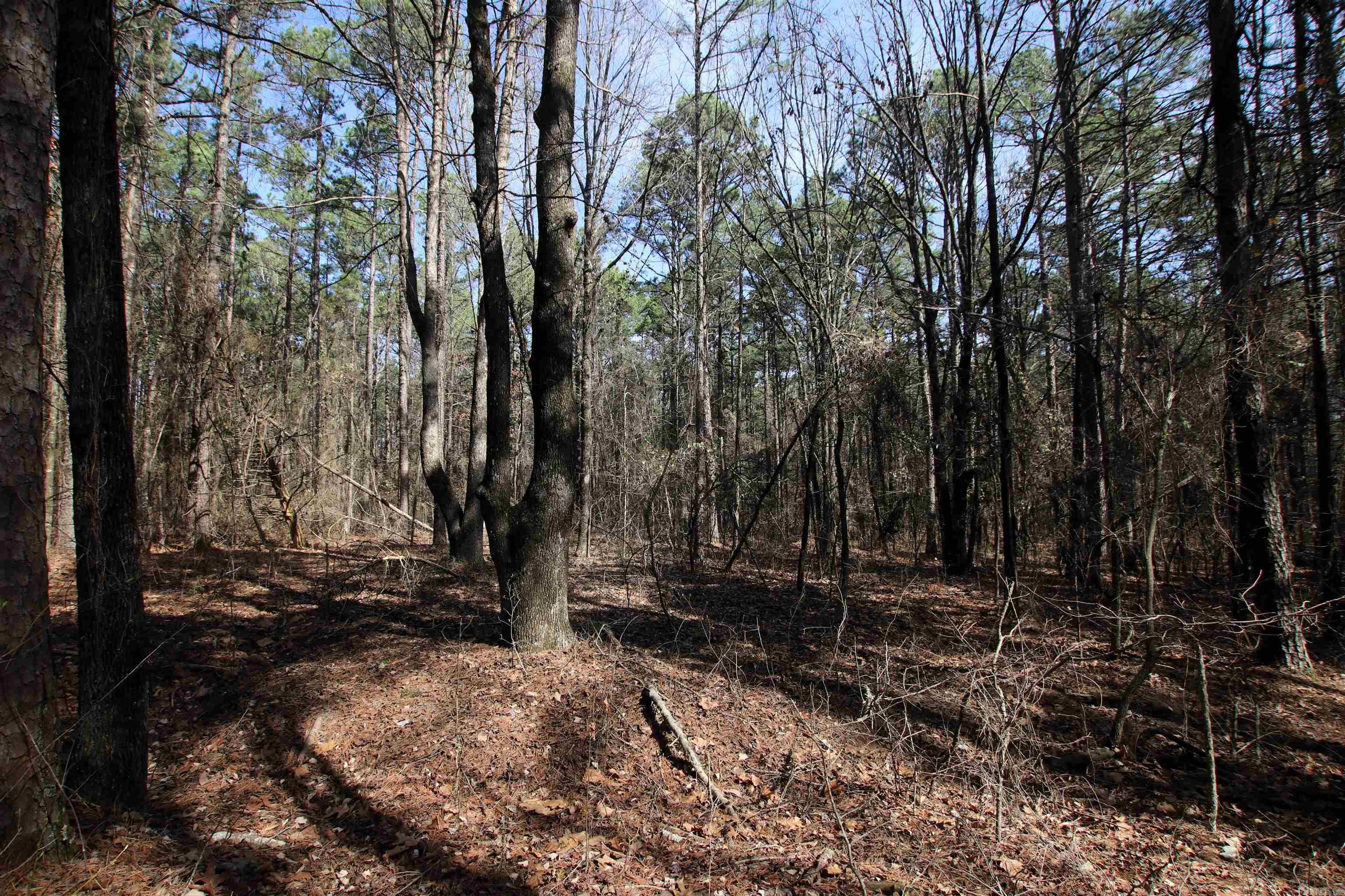2986 E Mountain Road Property Photo 20