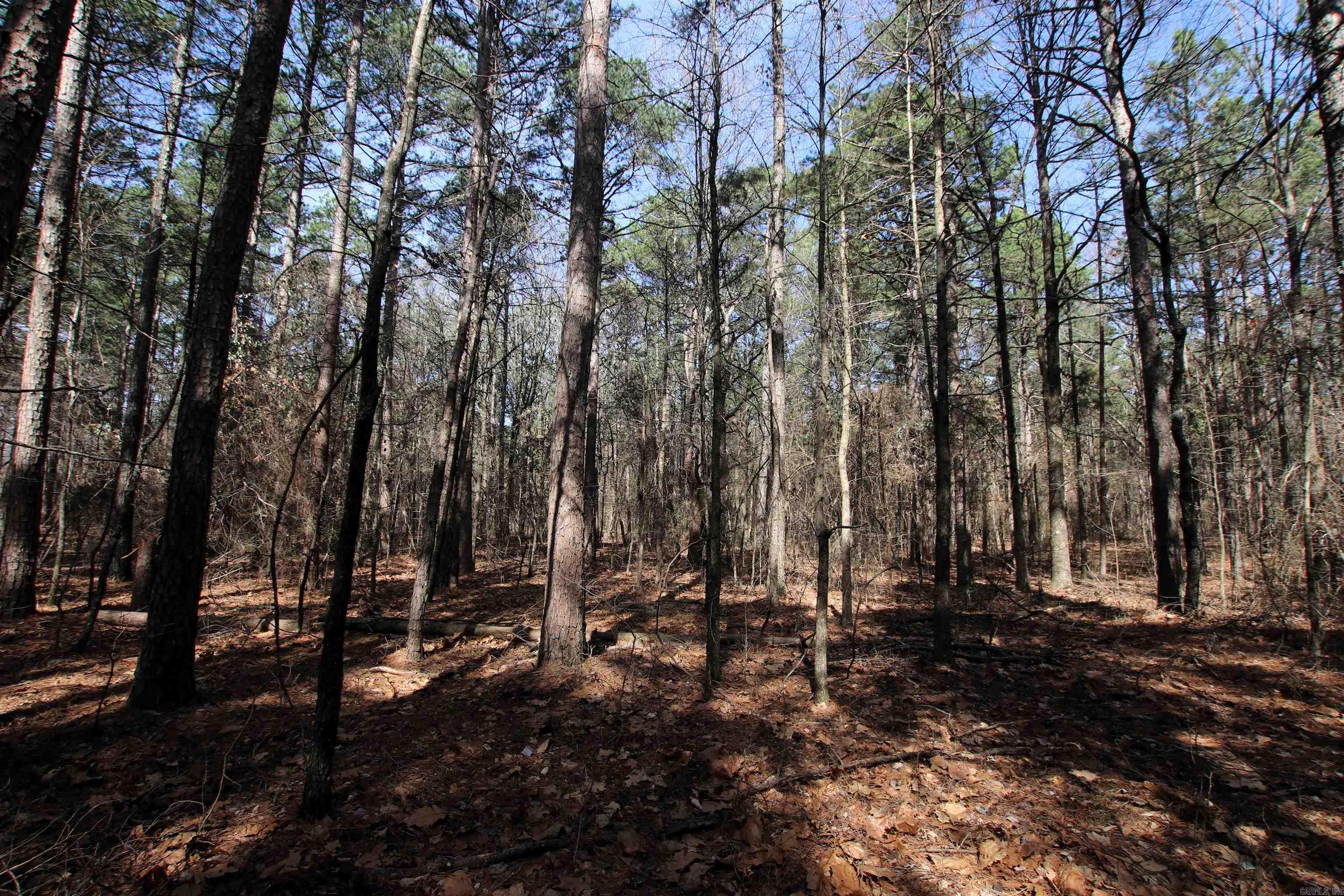 2986 E Mountain Road Property Photo 21