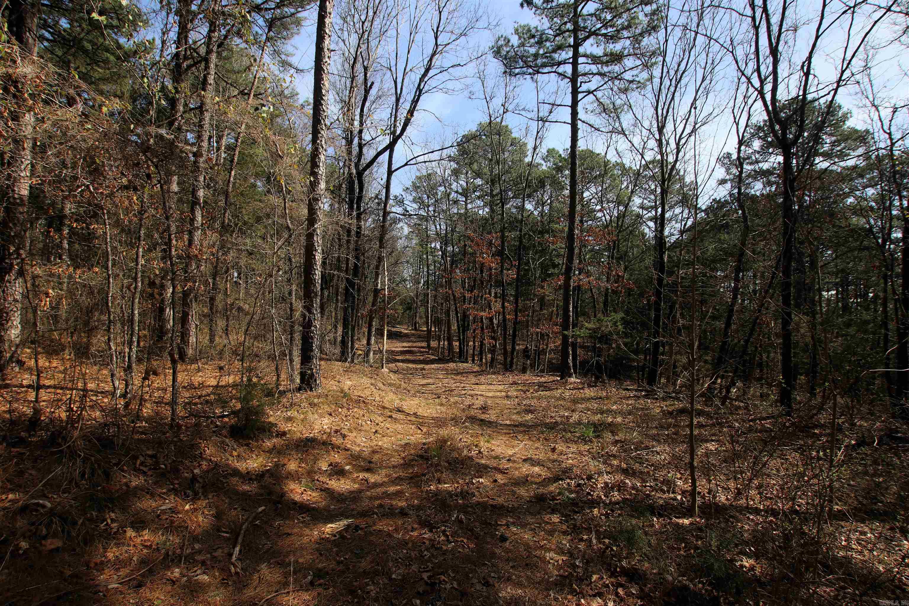 2986 E Mountain Road Property Photo 23