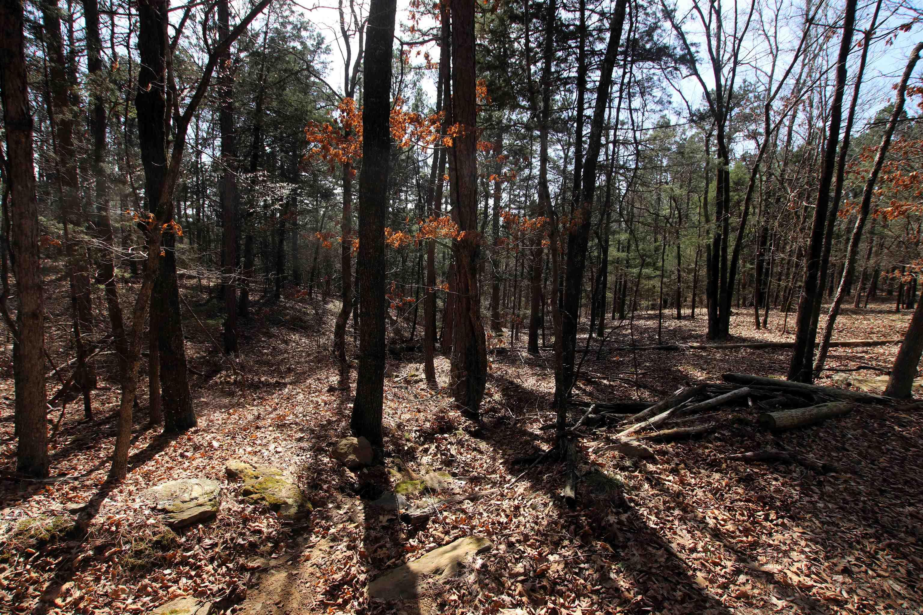2986 E Mountain Road Property Photo 24