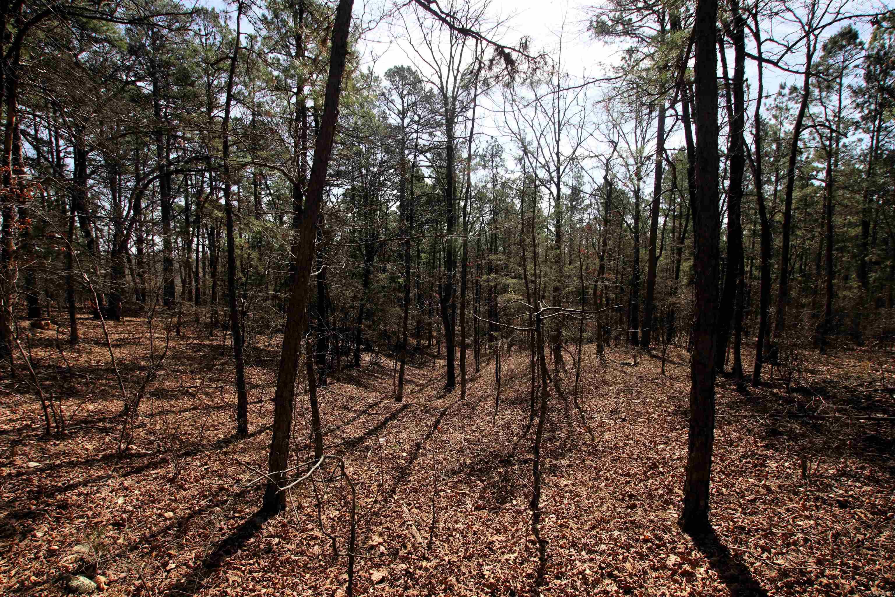 2986 E Mountain Road Property Photo 27