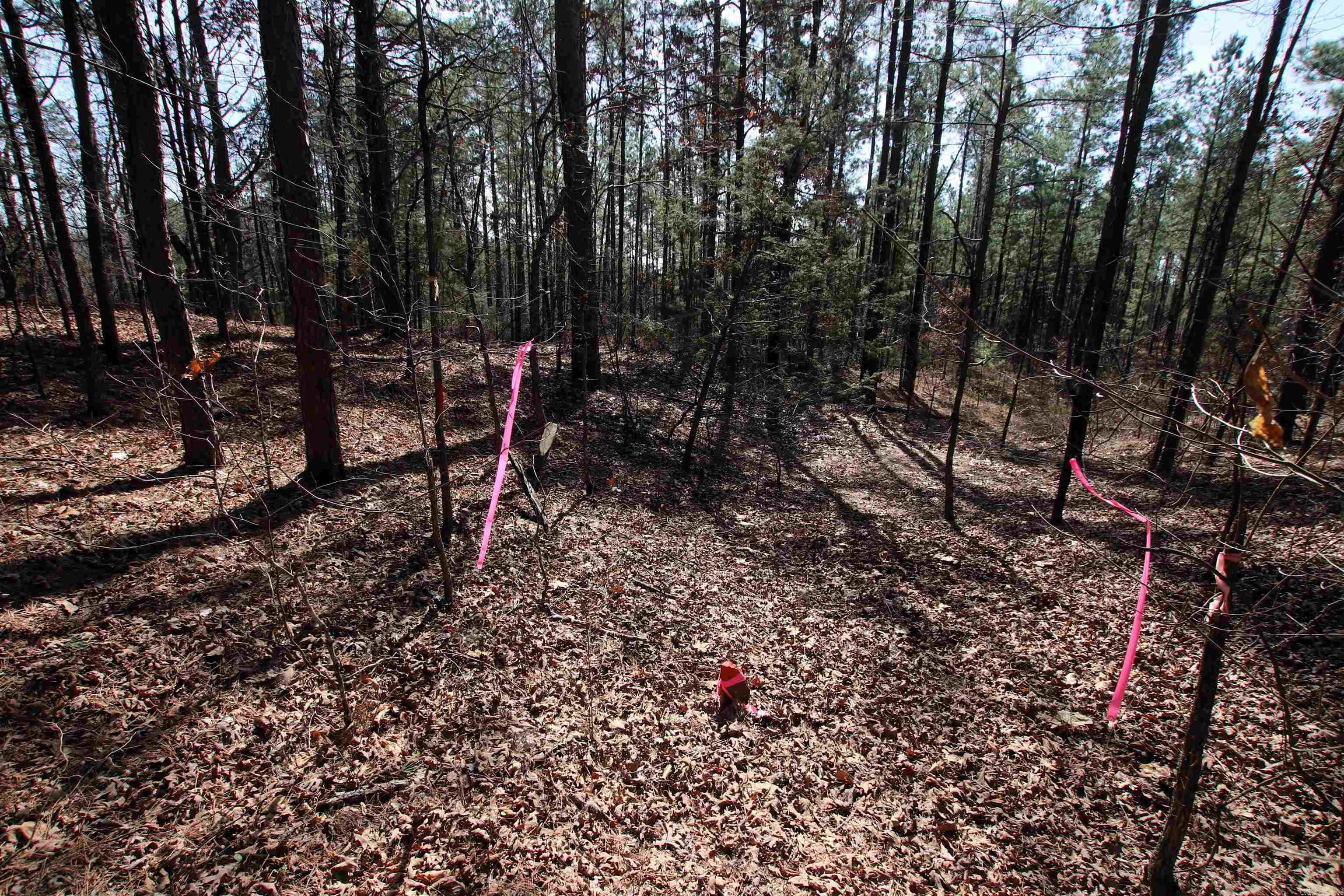 2986 E Mountain Road Property Photo 28
