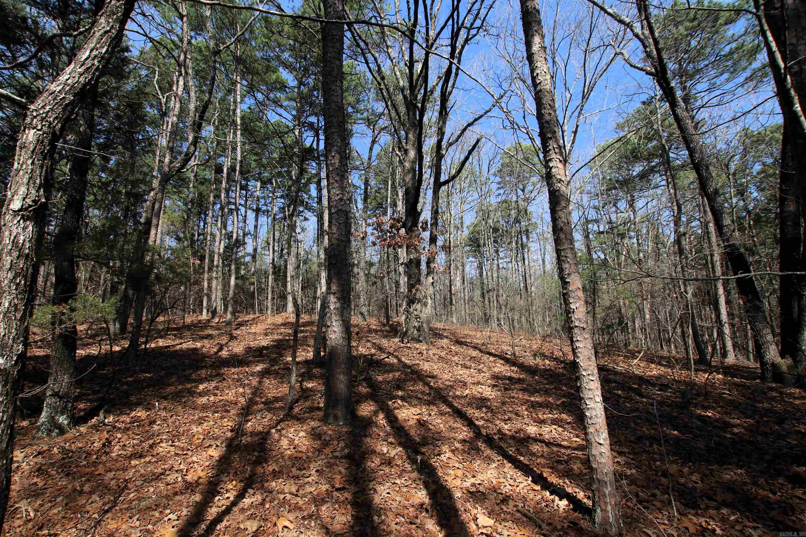 2986 E Mountain Road Property Photo 29