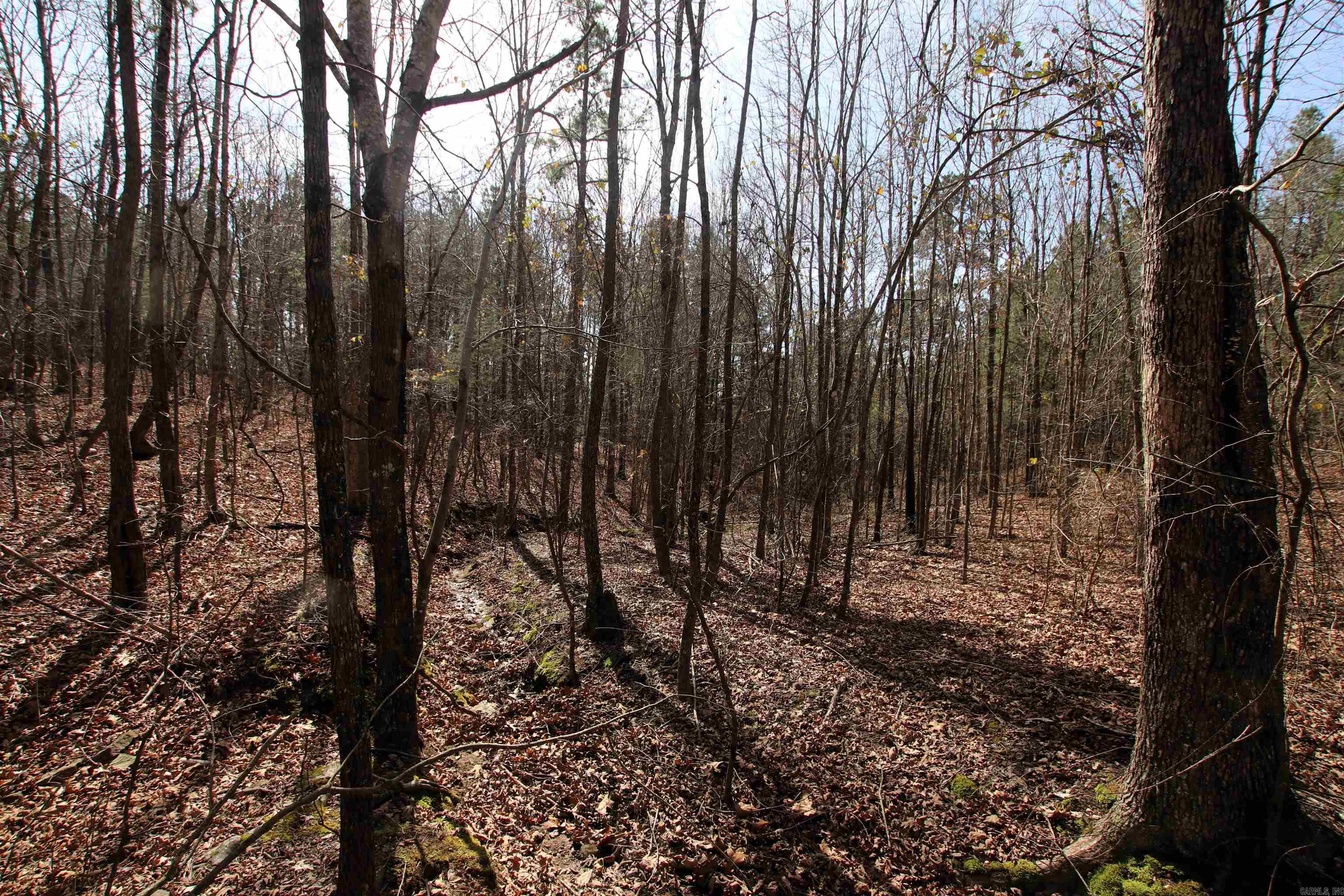 2986 E Mountain Road Property Photo 30