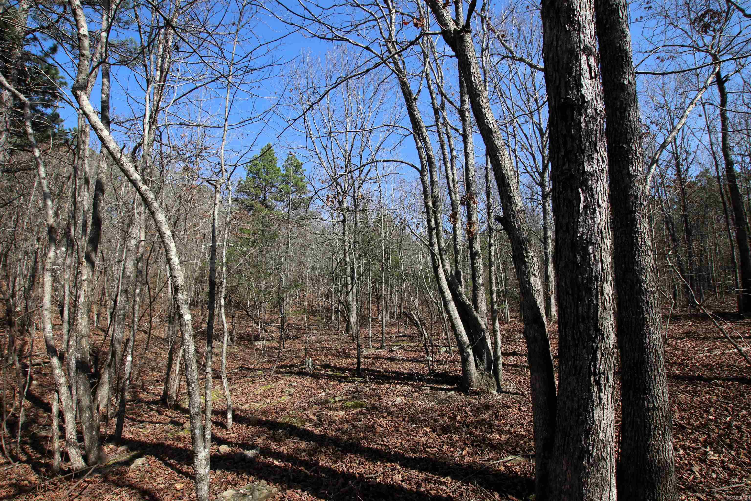 2986 E Mountain Road Property Photo 31