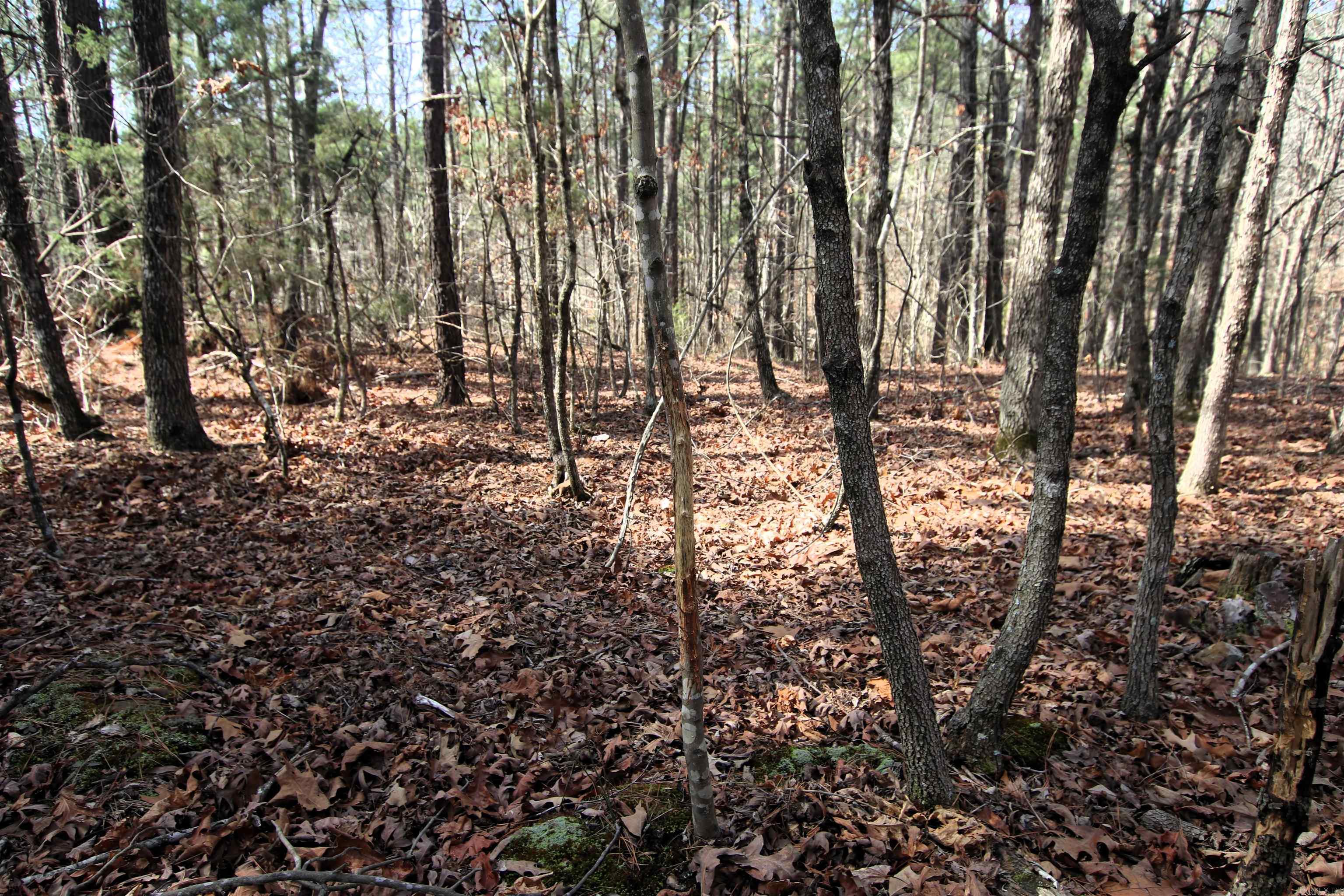 2986 E Mountain Road Property Photo 32