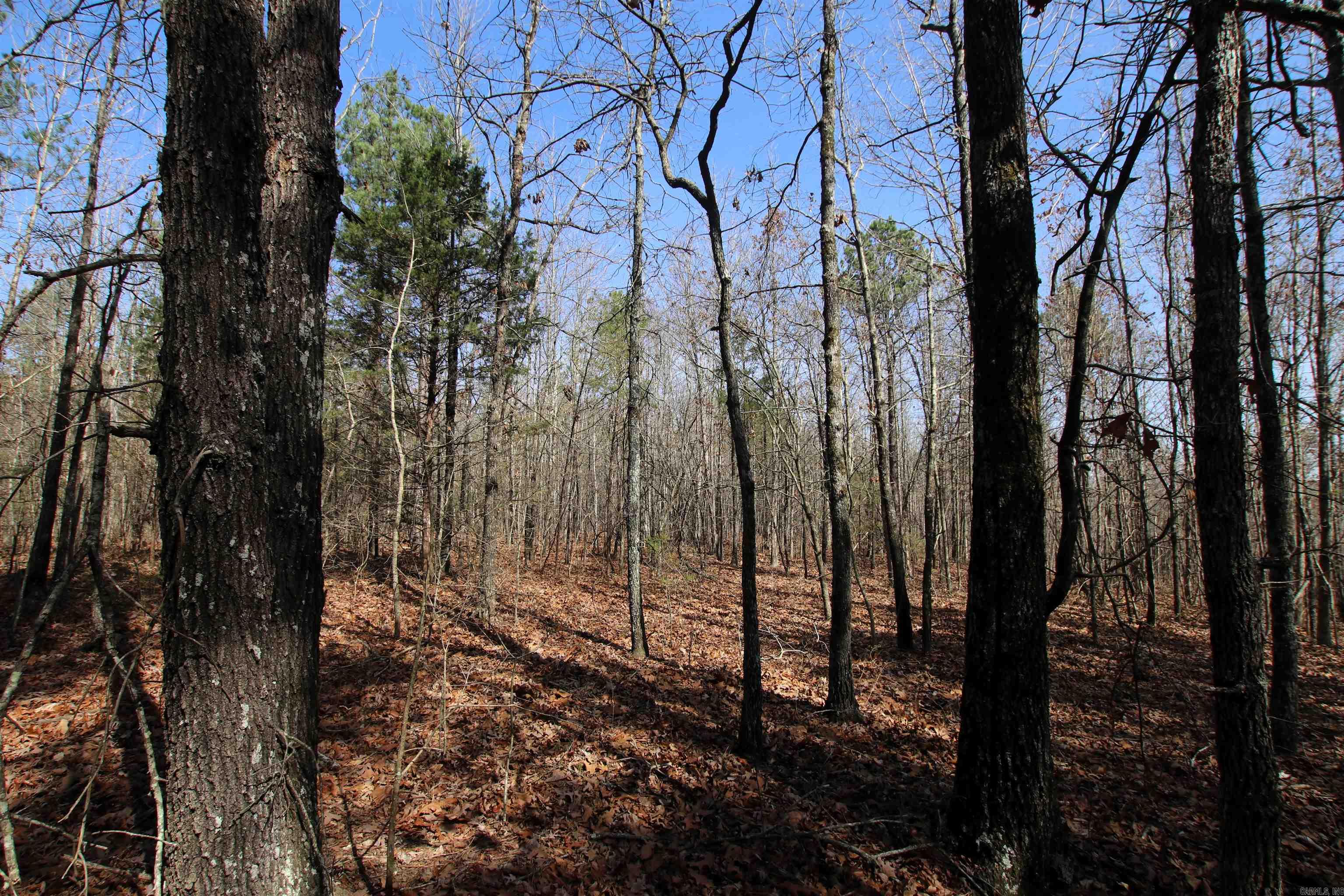 2986 E Mountain Road Property Photo 33