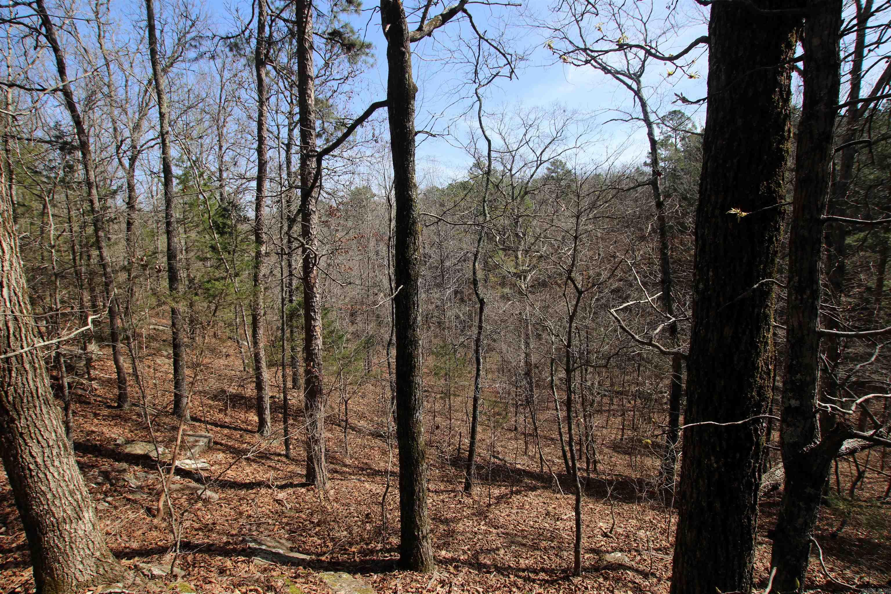 2986 E Mountain Road Property Photo 34