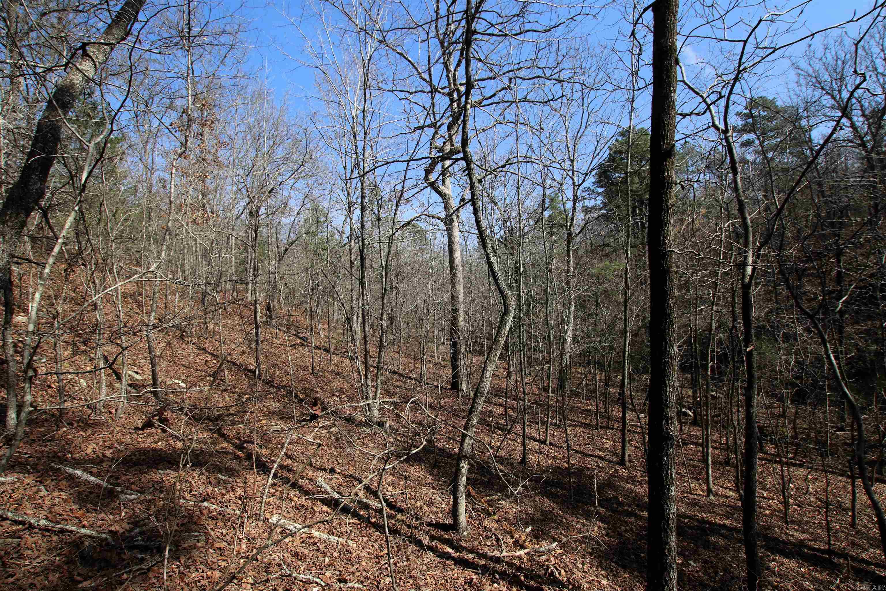 2986 E Mountain Road Property Photo 35