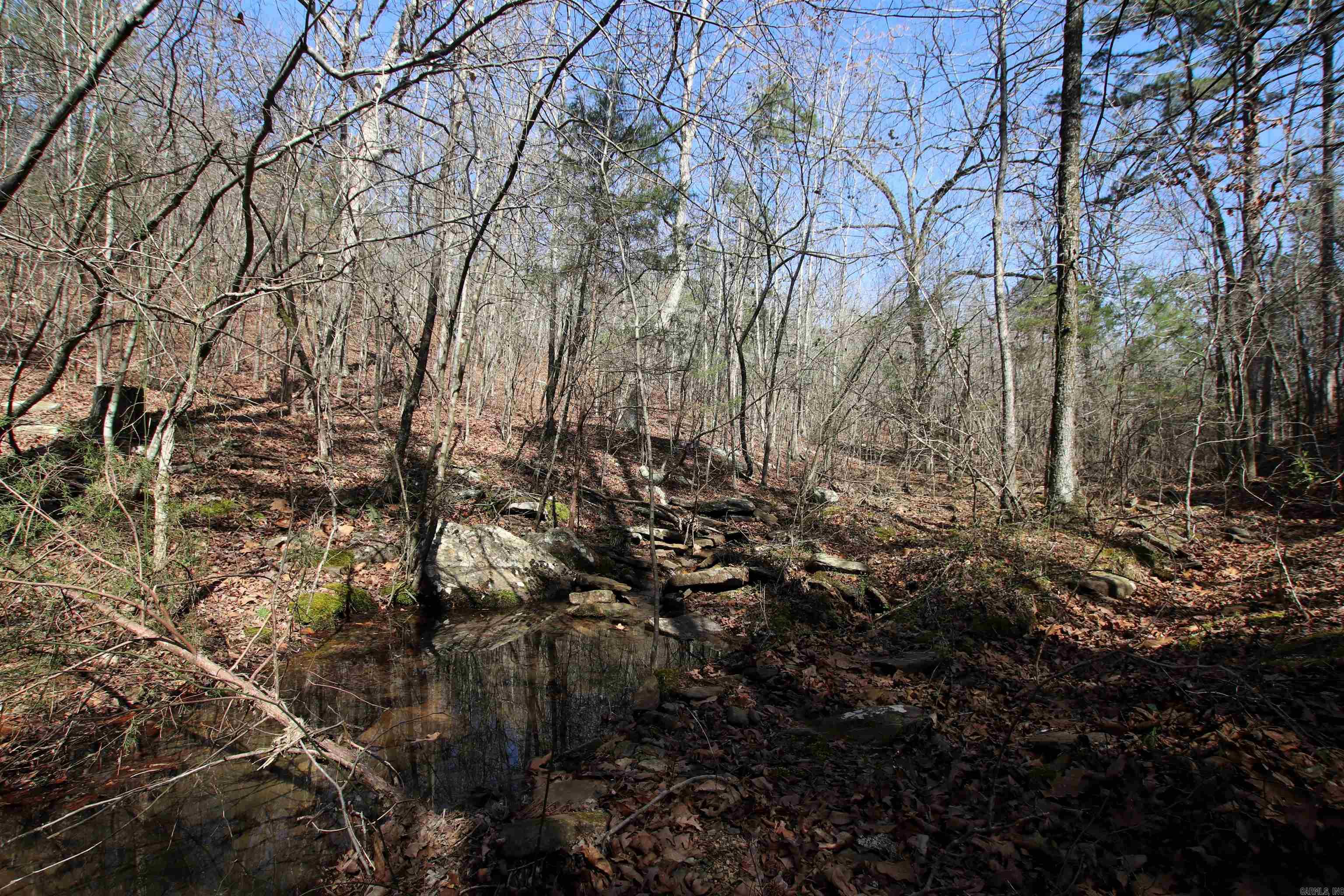 2986 E Mountain Road Property Photo 36