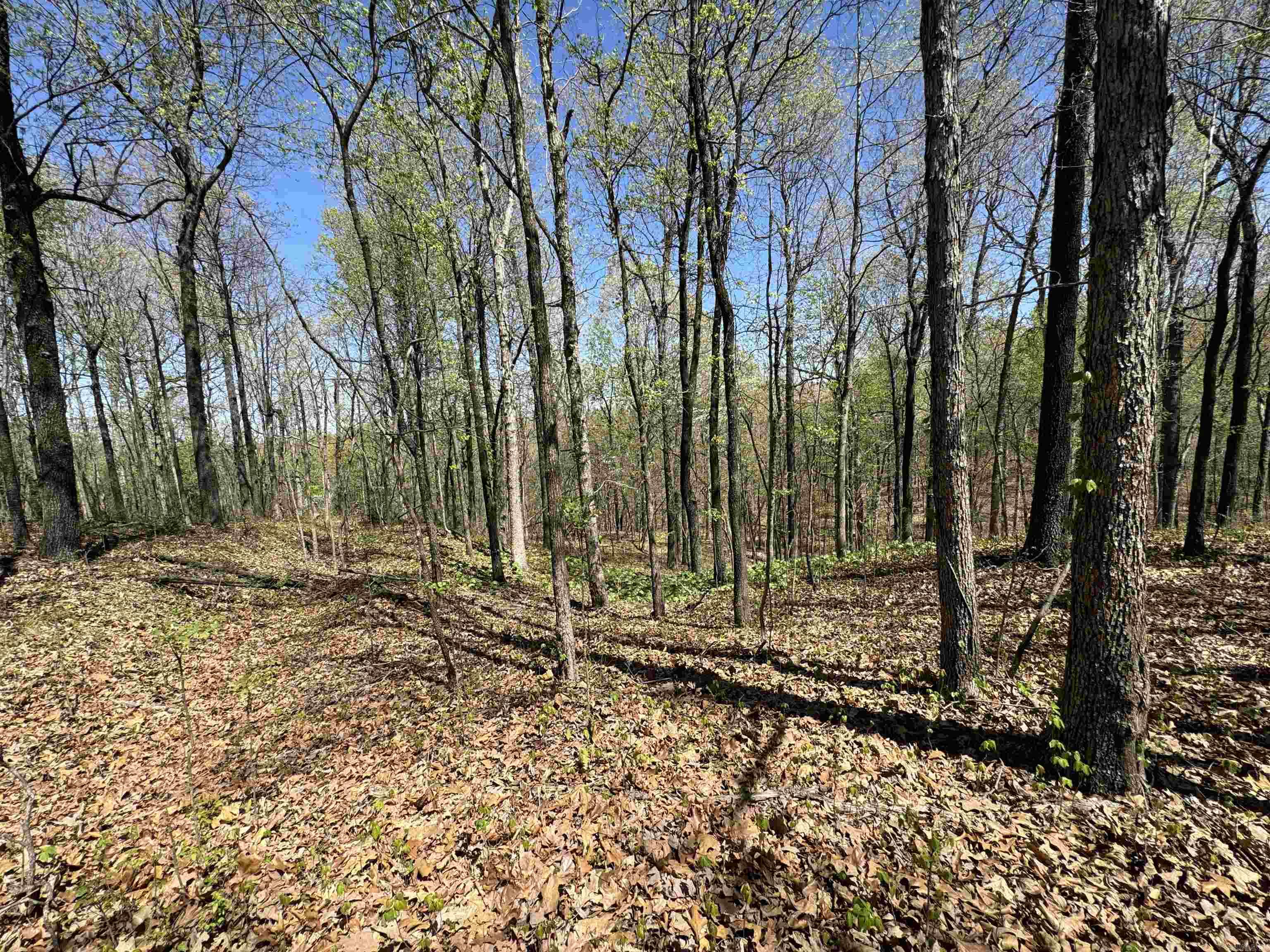 0 Clay Rd 431 Property Photo 1