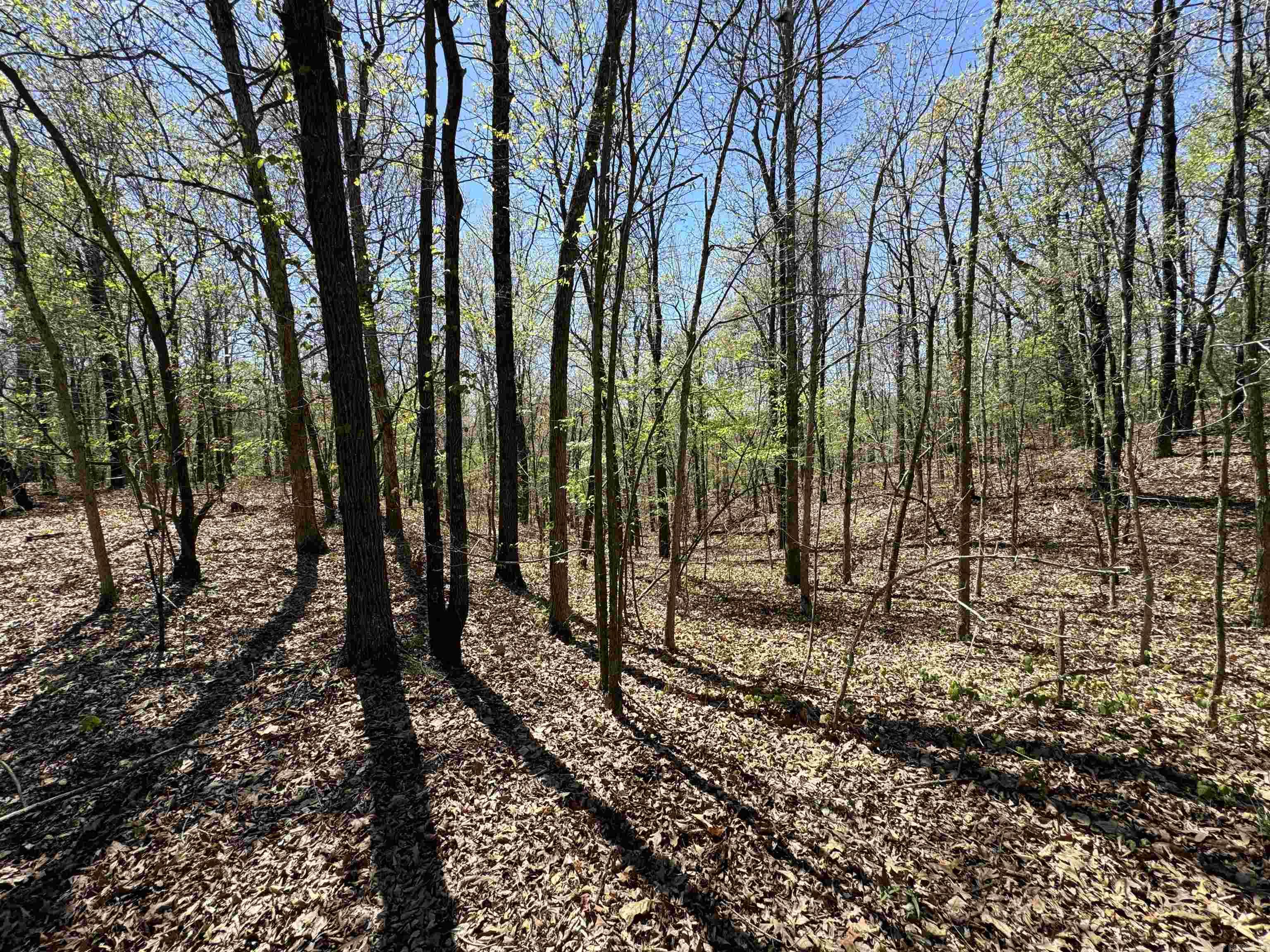 0 Clay Rd 431 Property Photo 2