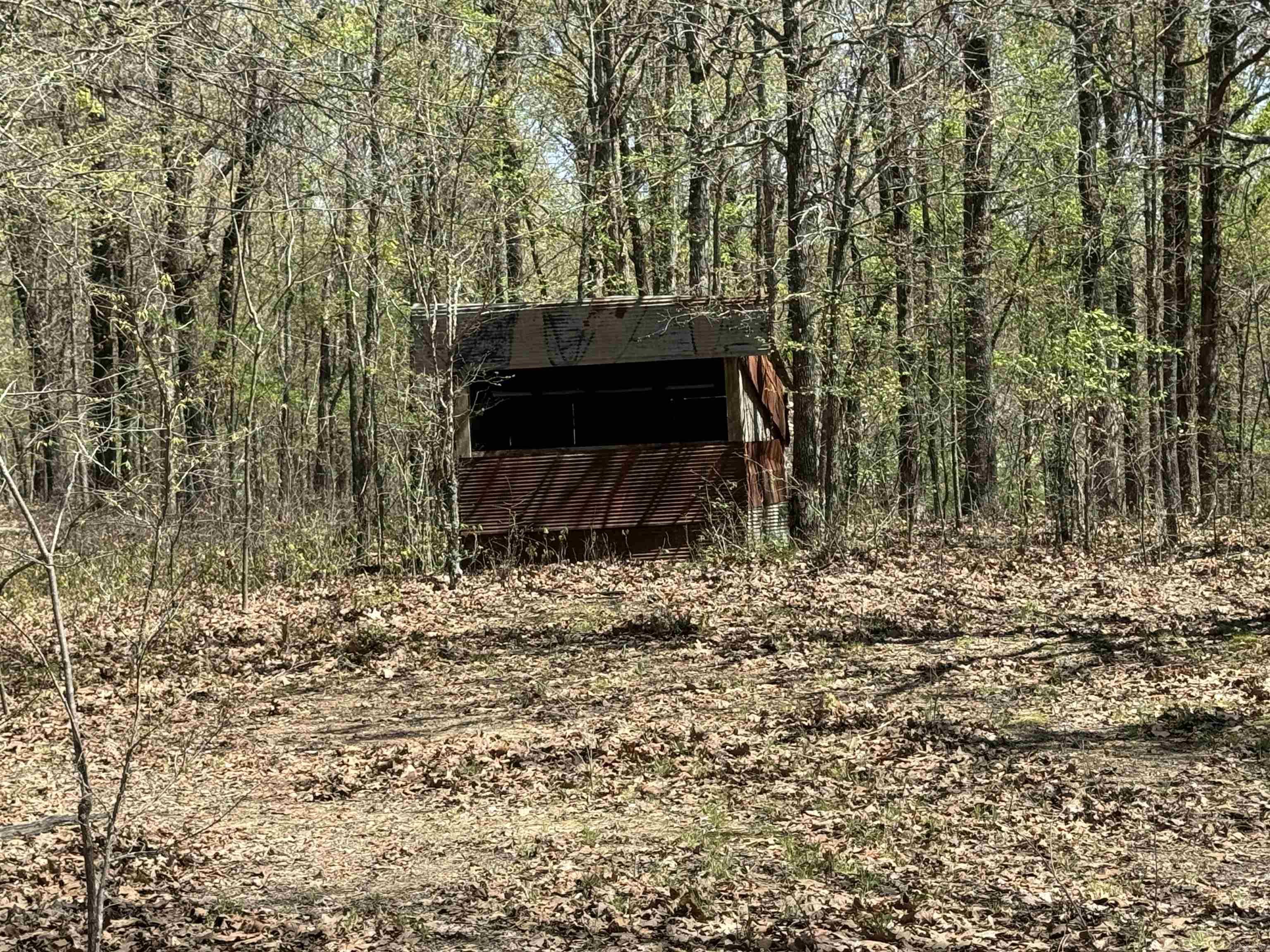 0 Clay Rd 431 Property Photo 4