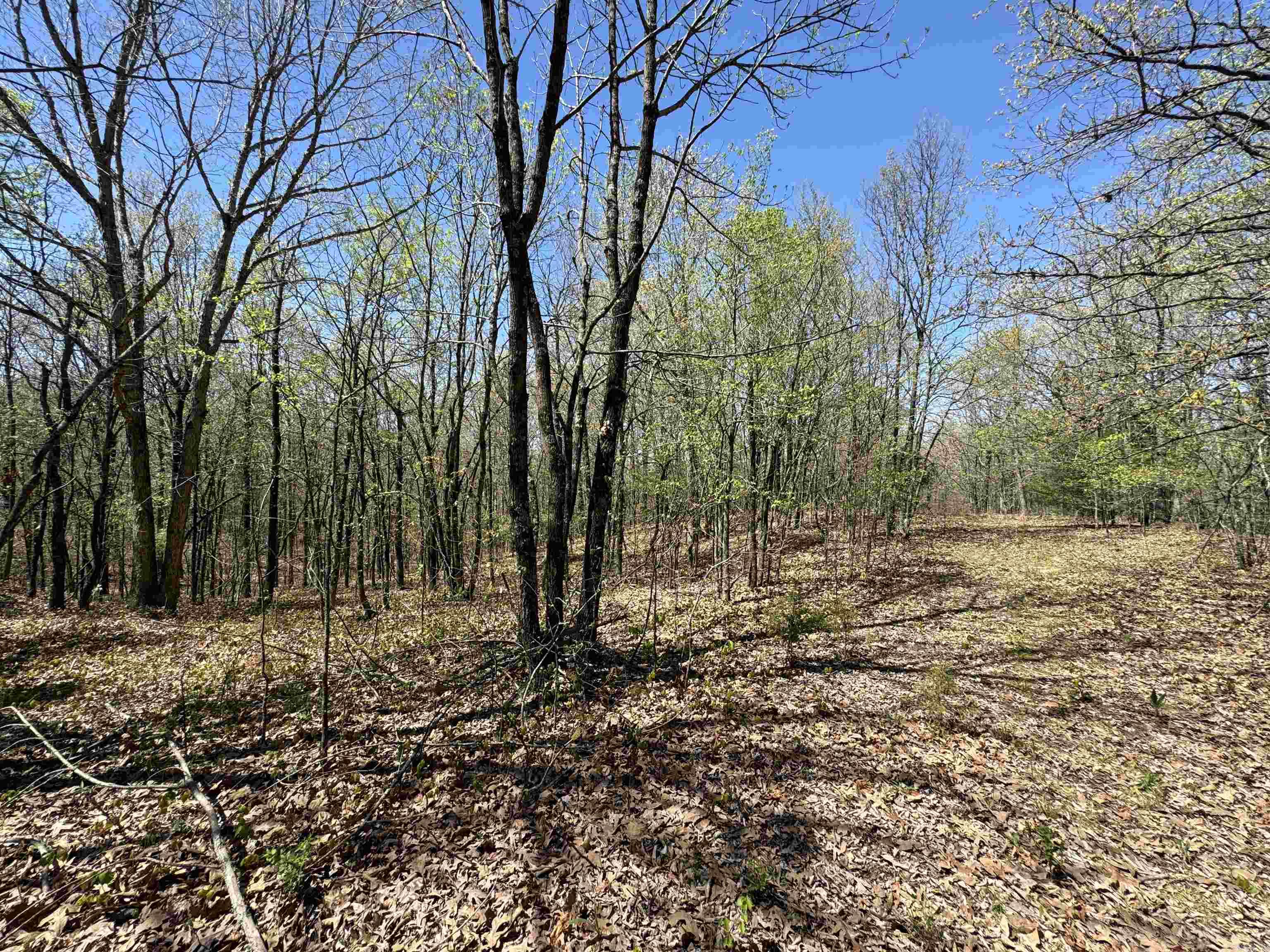 0 Clay Rd 431 Property Photo 8