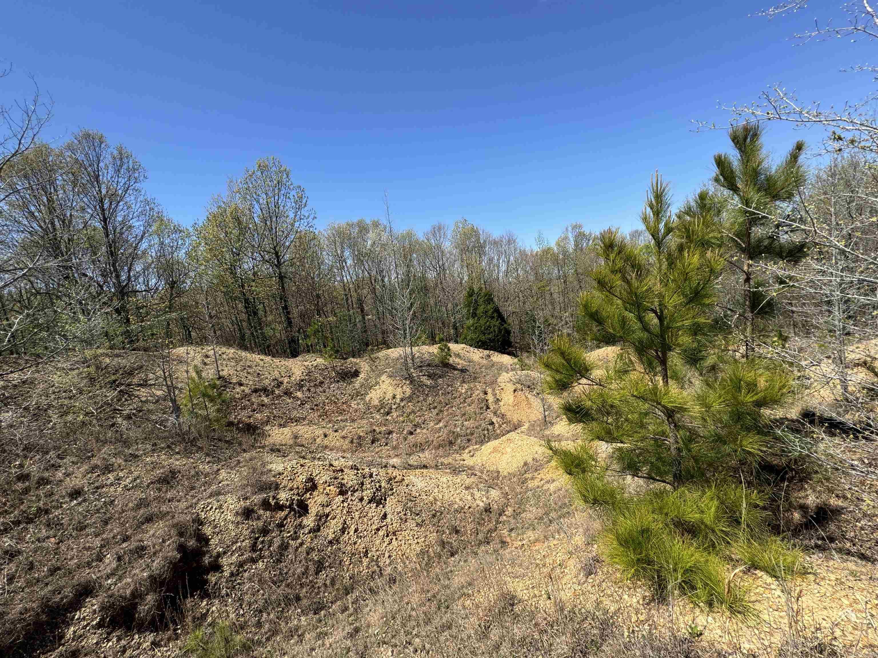 0 Clay Rd 431 Property Photo 9