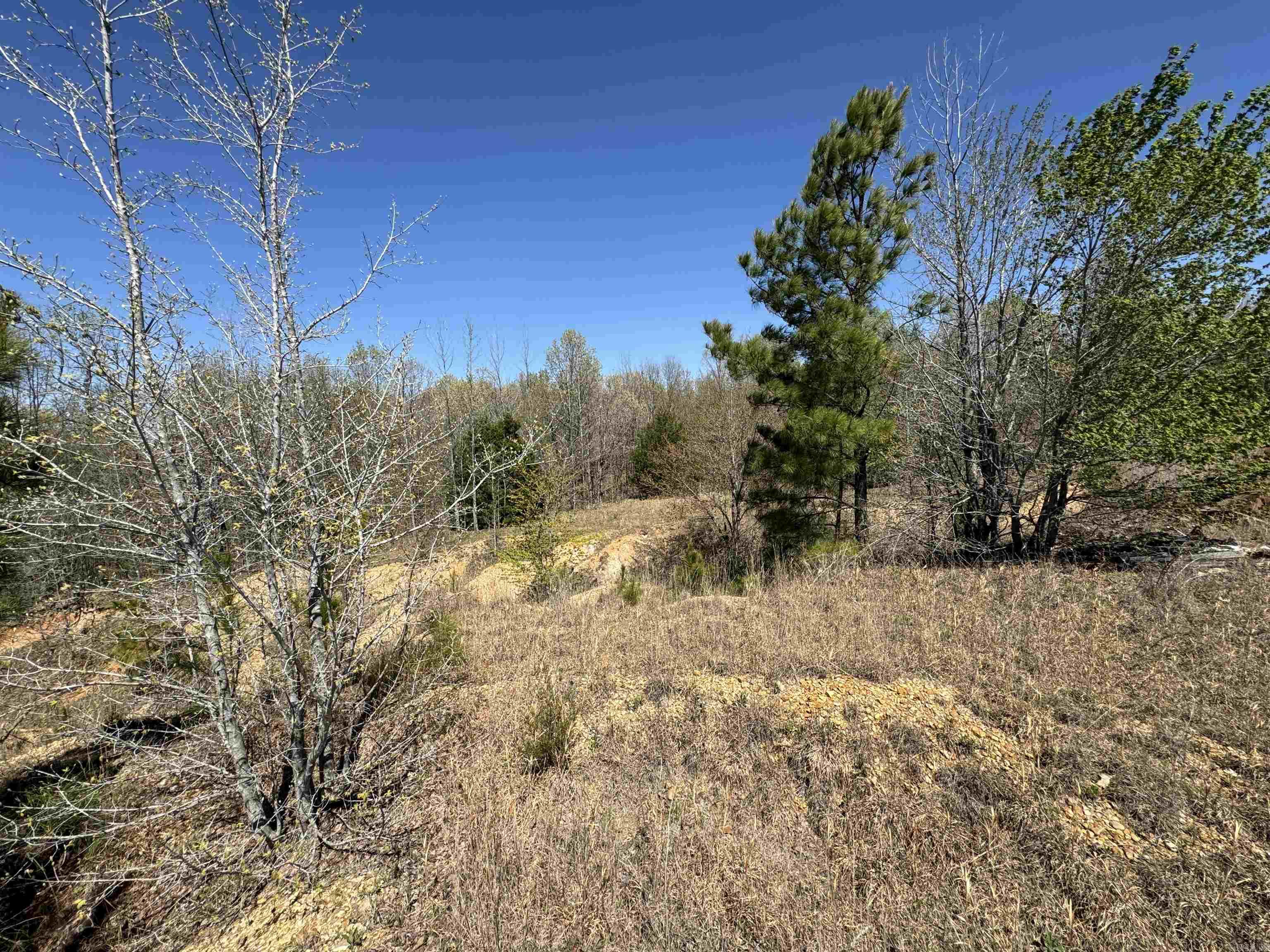 0 Clay Rd 431 Property Photo 10