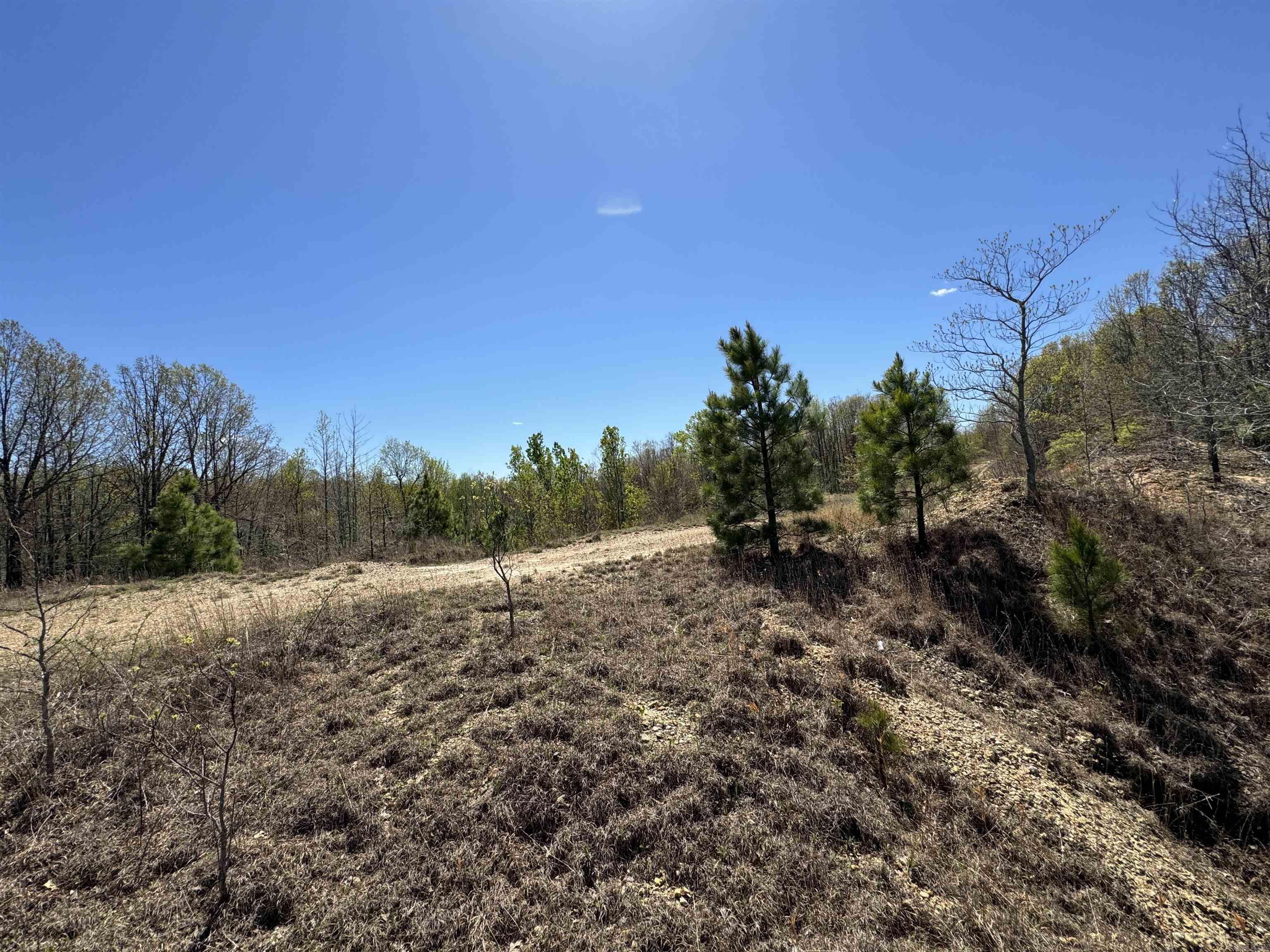 0 Clay Rd 431 Property Photo 11